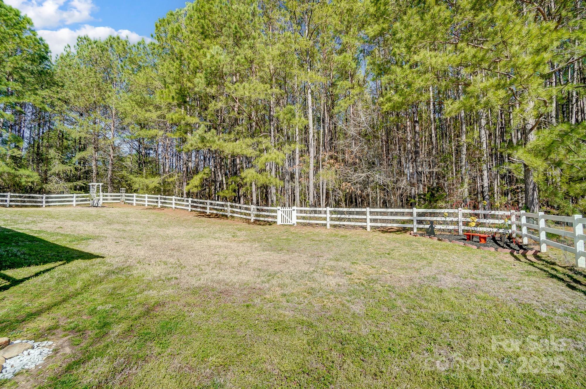 Wild Pine - Residential