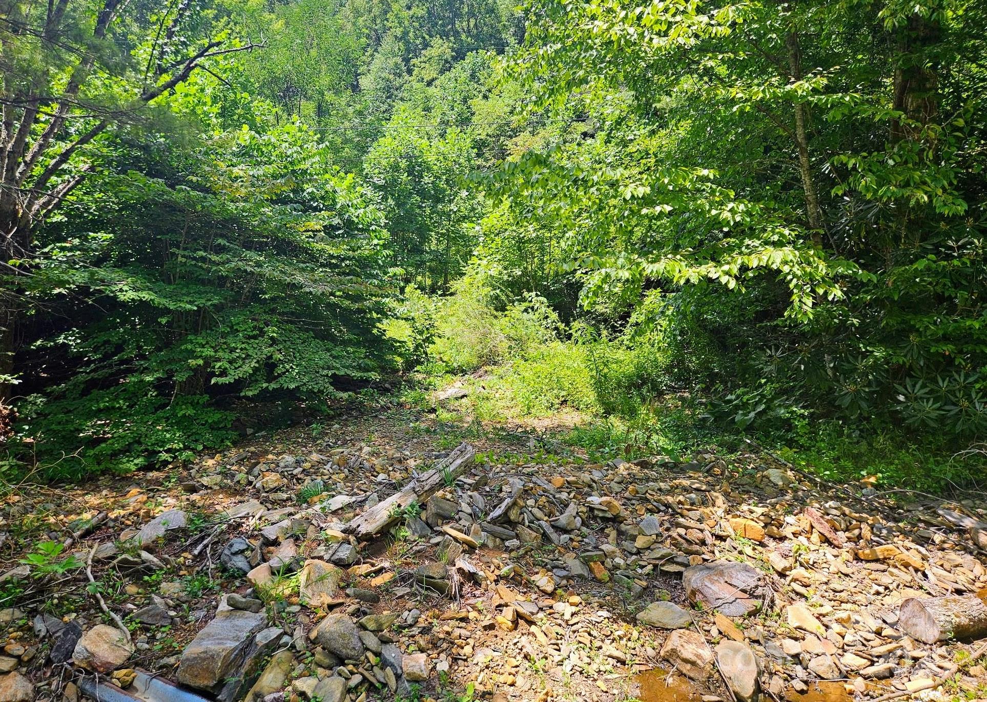 99 Banjo Branch Road
