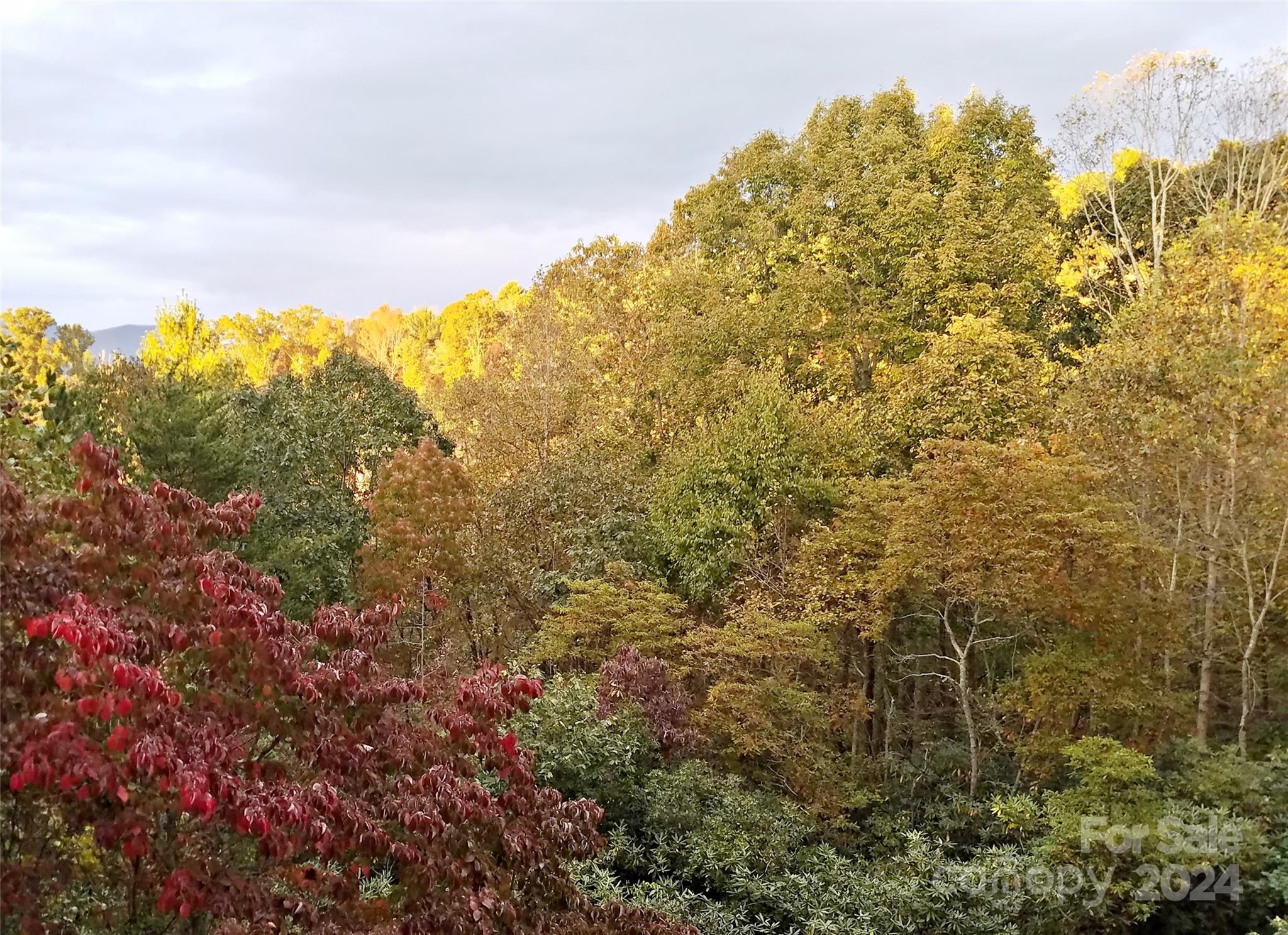 Eastmoor - Residential