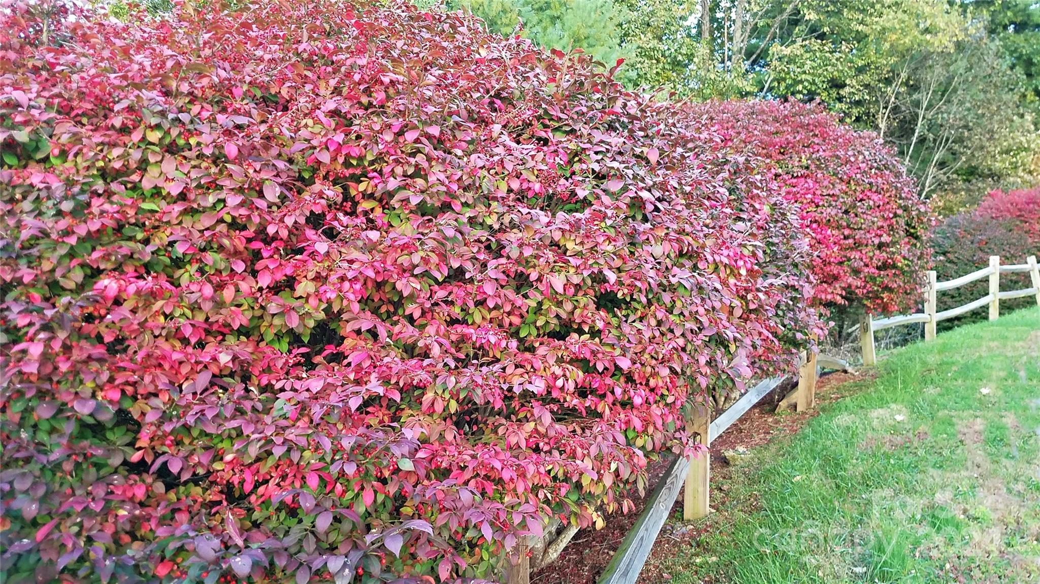 Eastmoor - Residential