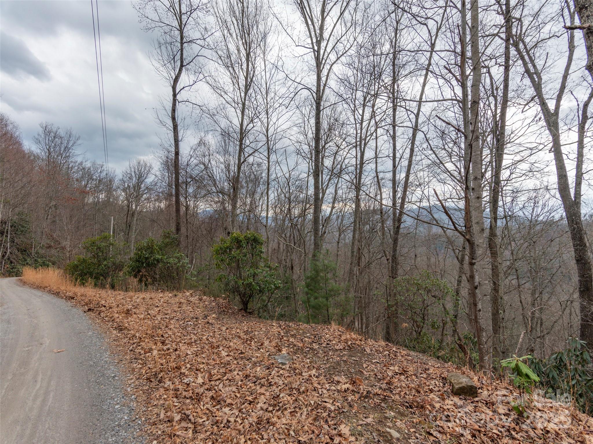 00 Cherry Berry Drive