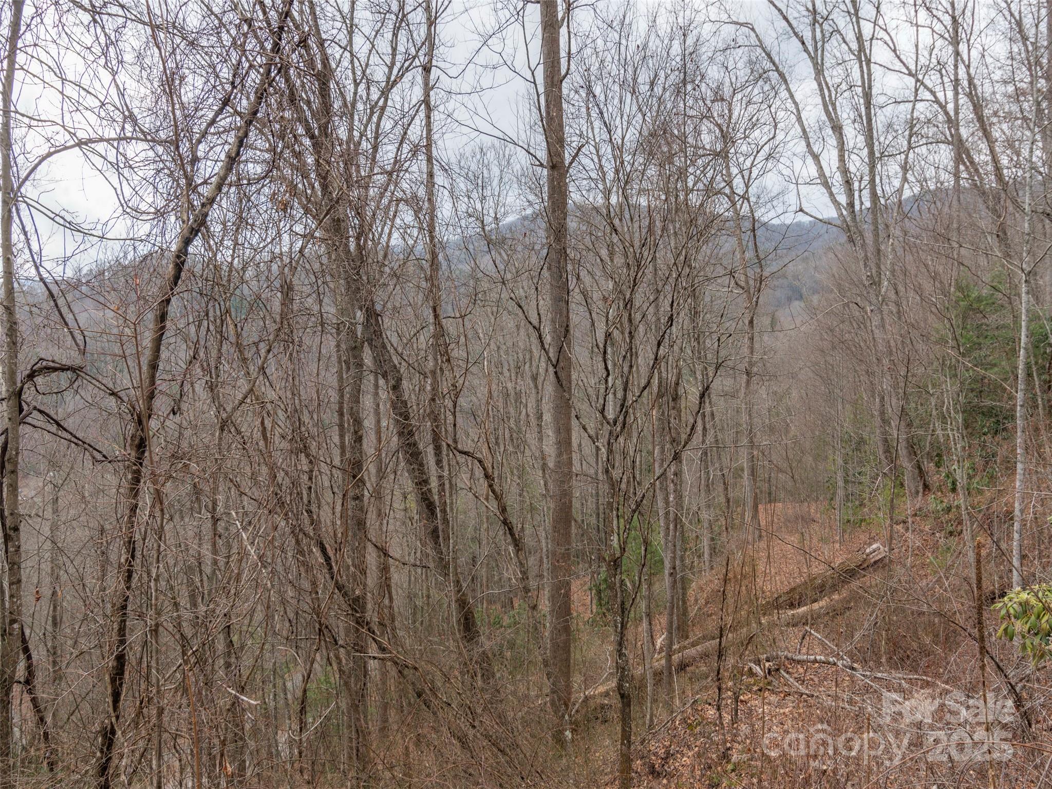 00 Cherry Berry Drive