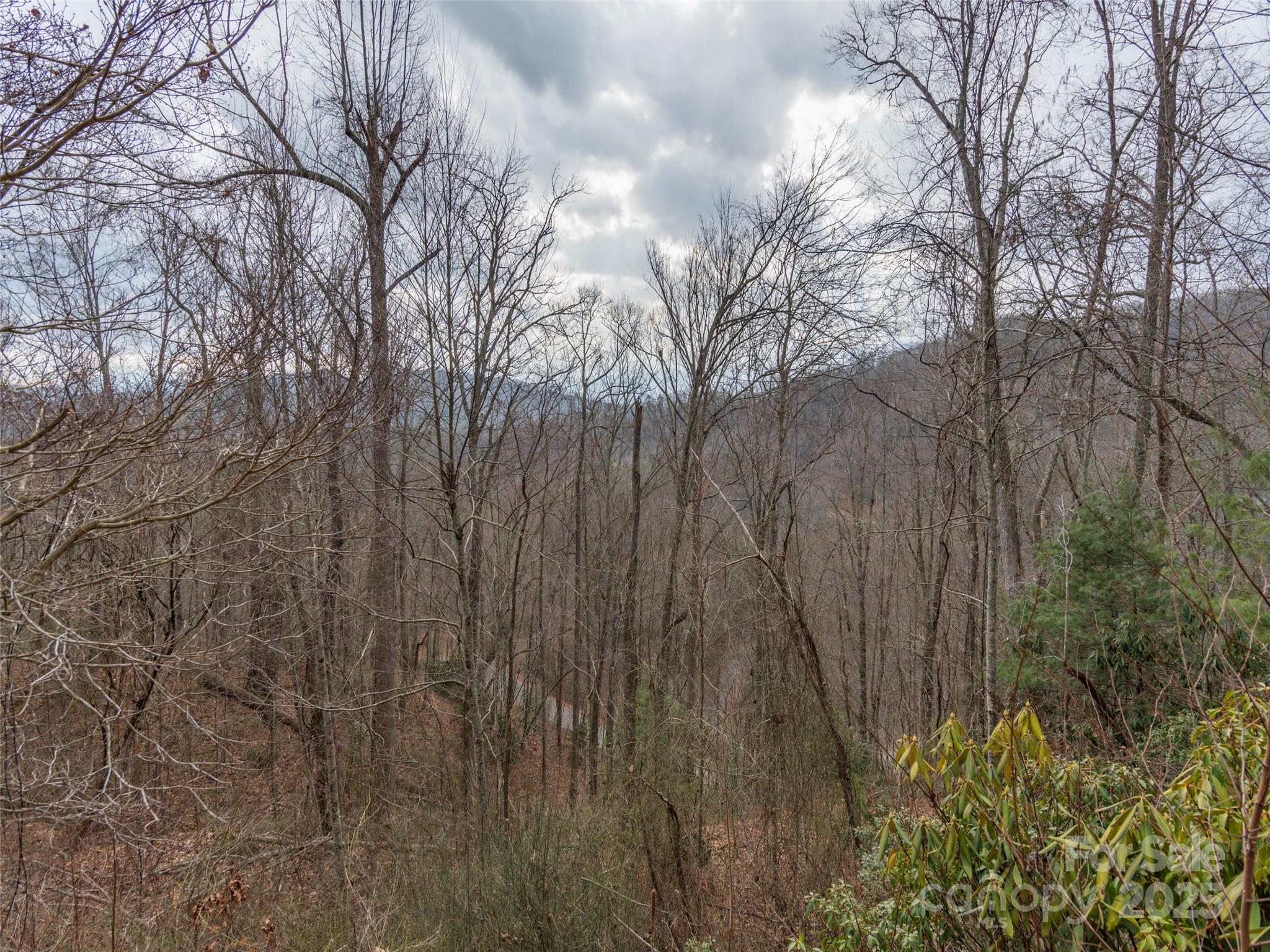 00 Cherry Berry Drive