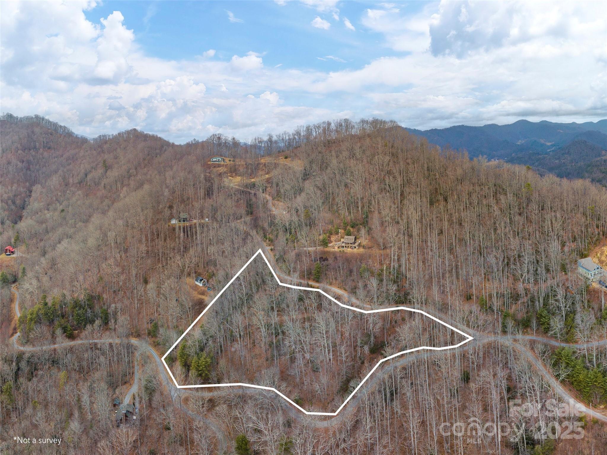 Twin Oaks Estate - Land