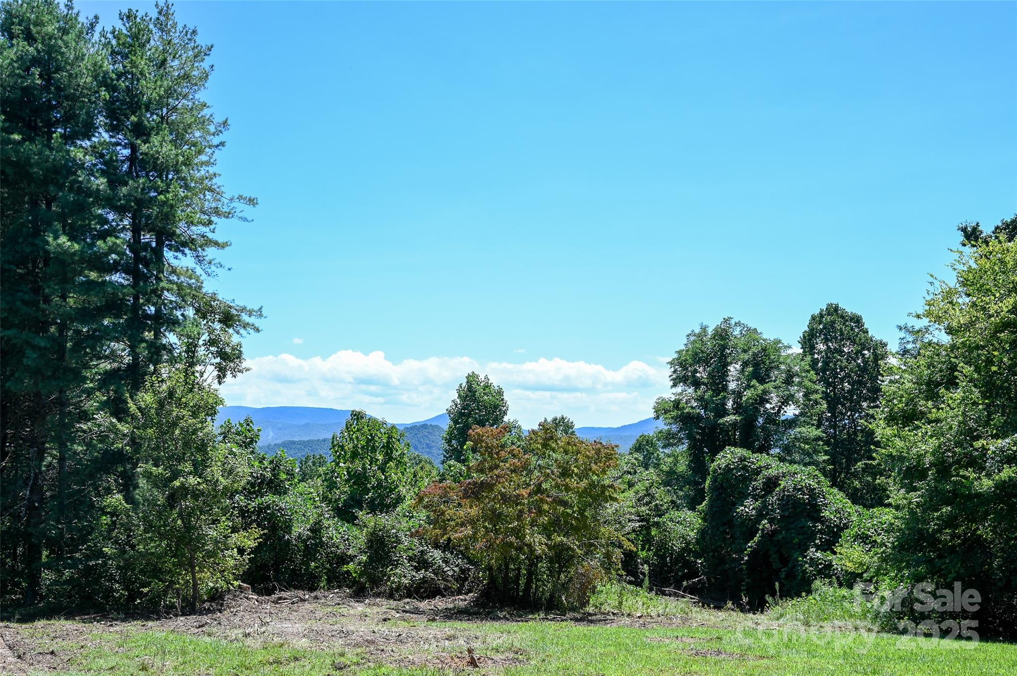 371 Heatherly Heights Road