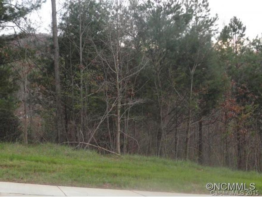 Asheville's Premier Neighborhood - The Thoms Estate.  A total of 92 custom home lots in an up-scale community just a few blocks from the Country Club of Asheville and half a mile from Fresh Market, Ingles and other shopping.  Lots range in size from approximately .25 acres to 1.6 acres.  Architectural Review Committee to approve all custom home plans.  Taxes TBD. A portion of Deedbook and Page.