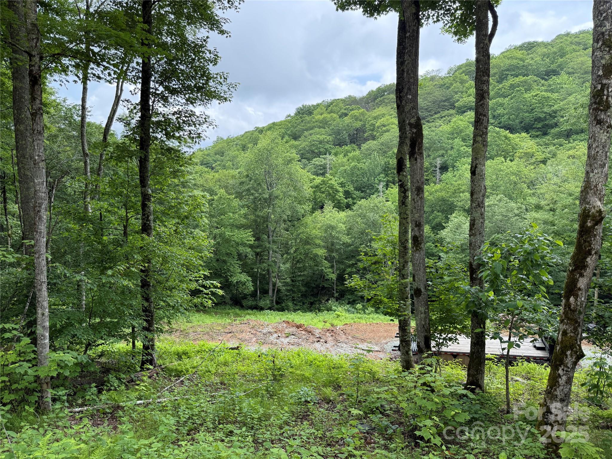 TBD Junaluska Road