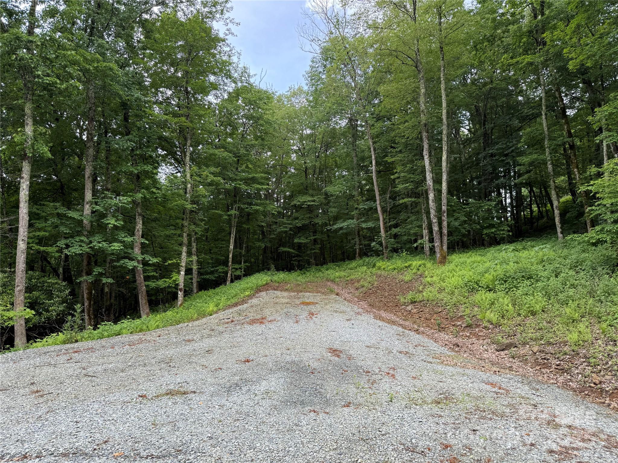 TBD Junaluska Road