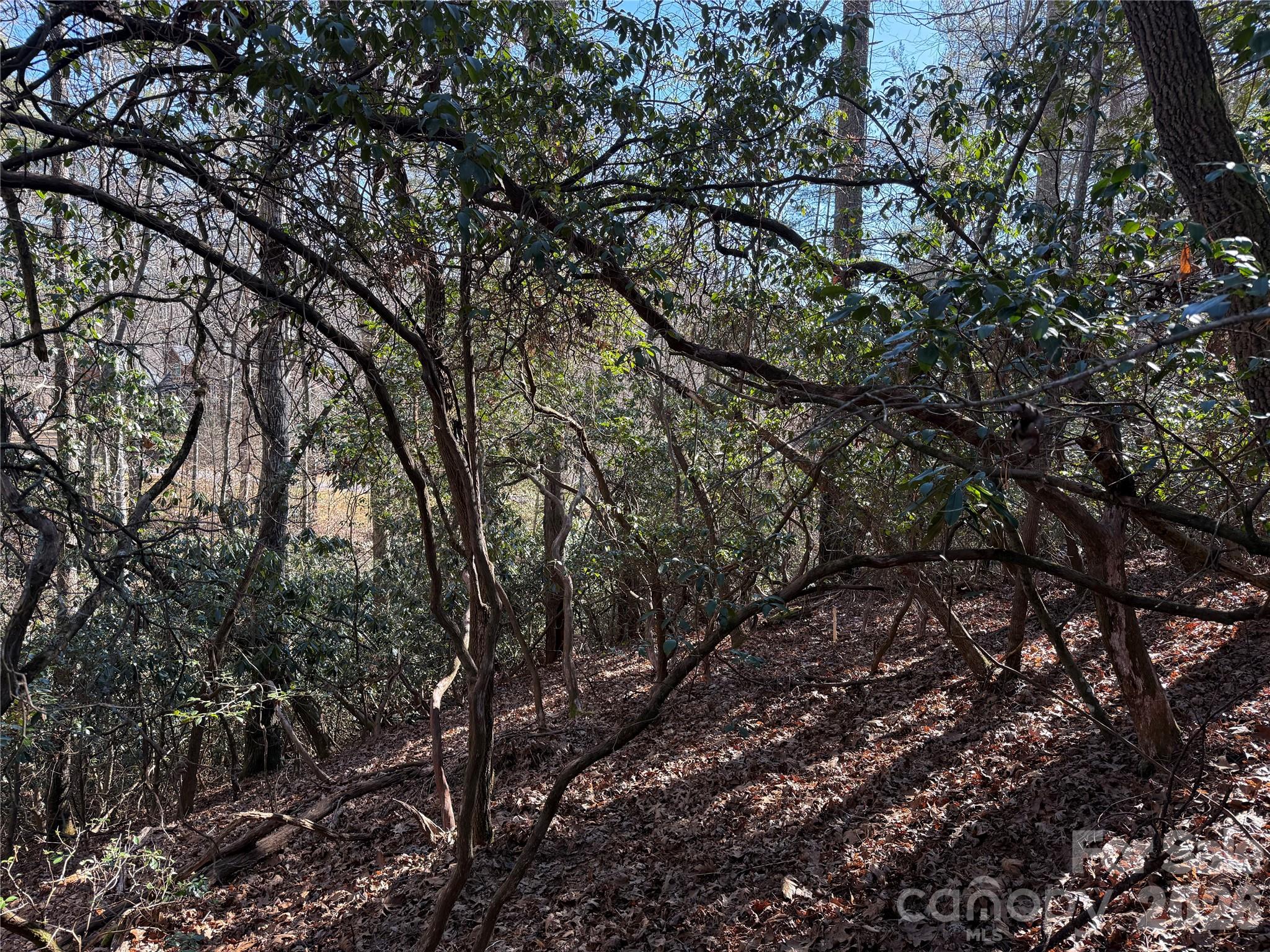 Mountain Brook - Land