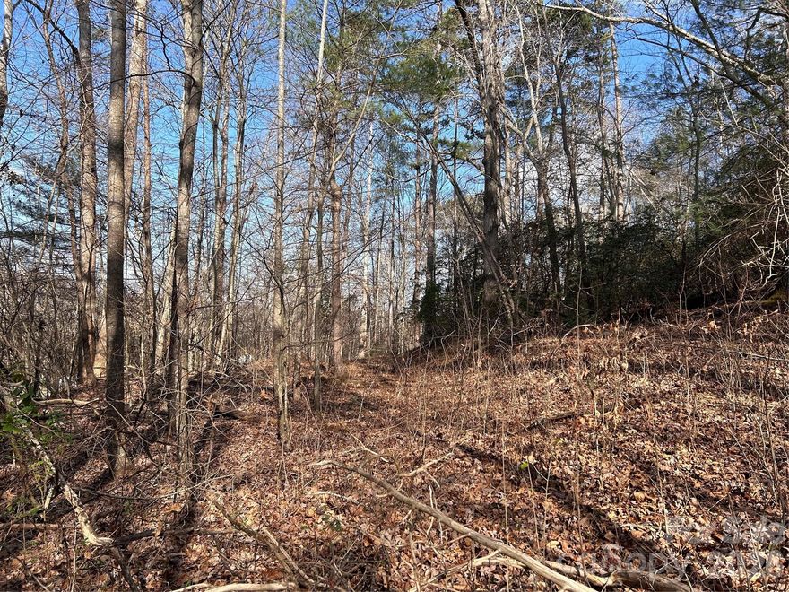 Wooded lot near the lake and priced to move.  A natural setting with easy access to lake living.  Build now or hold for the future.  Opportunities like this don't last long.  A great spot for a primary residence or investment property.  Conveniently located to Hwy 321, Hickory's airport, Hickory's Riverwalk and more!