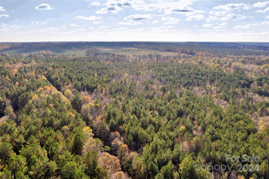 Gorgeous 10 Acres in the highly desired Lancaster County! Right outside Lancaster city limits, this property is located in the heart of Heath Springs. Minutes away from Public Parks, Schools, Downtown Heath Springs, and other modern amenities. Easy access to Lancaster and surrounding areas. With the large lot size, pursue building your dream home, use this land for your small farm, garden, and recreational activities. Full of mature timber which provides a beautiful private landscape. There is a creek bottom adding diversity in landscape and water feature. If you are looking peaceful homesite, this is the land for you! About 400' of road frontage which creates easy access. There are electrical utilities available at the street. County Water services are located up Coldstream Rd. This sale is subject to a completed survey. *** More land available for sale *** Contact listing agent for more info ***