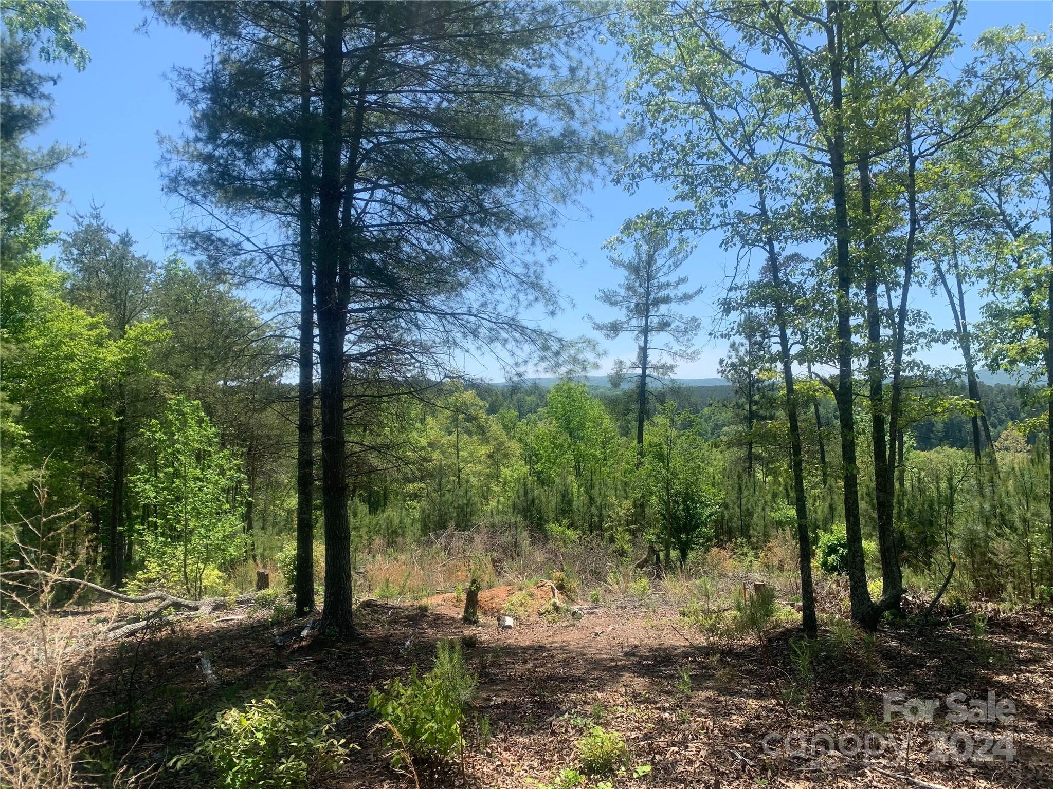 The Waterfront Club - Land