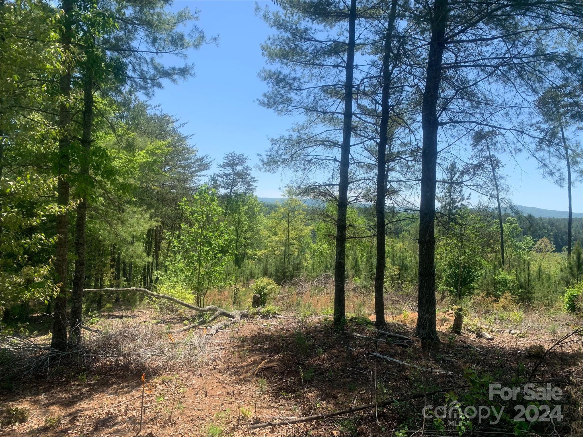 The Waterfront Club - Land