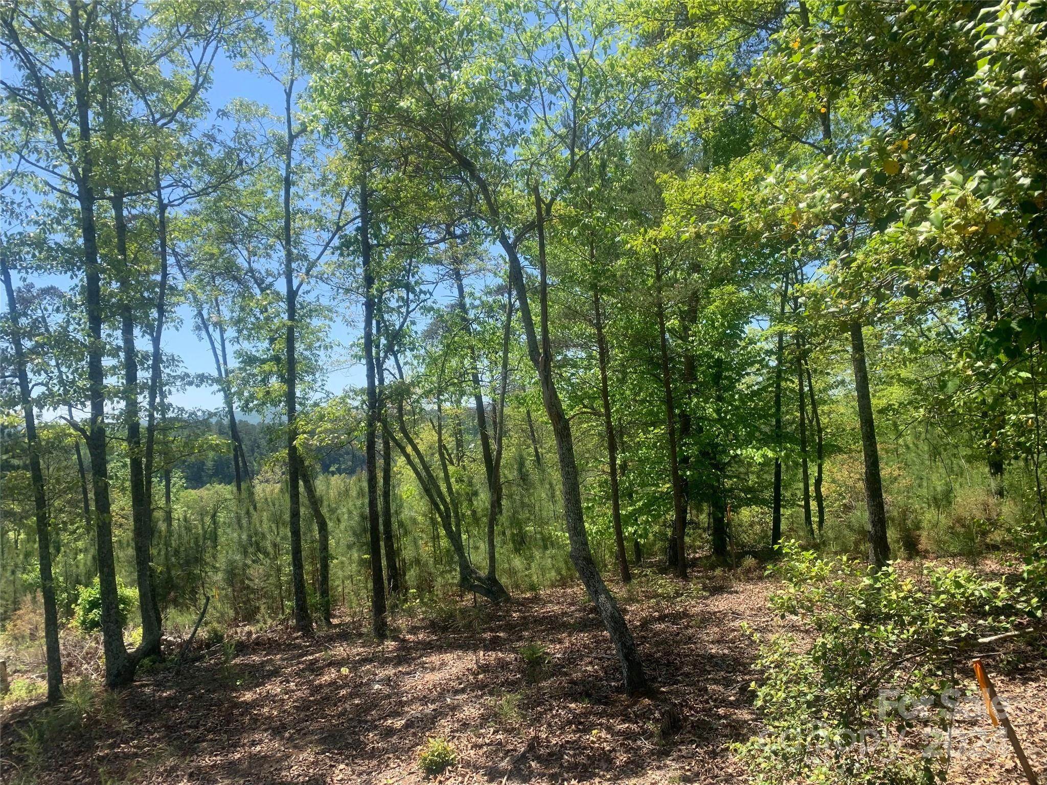 The Waterfront Club - Land