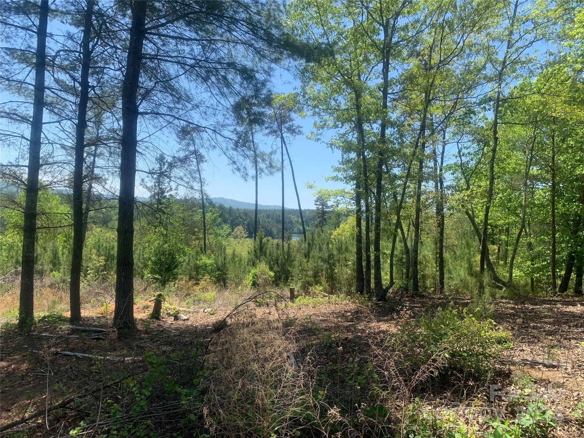 The Waterfront Club - Land