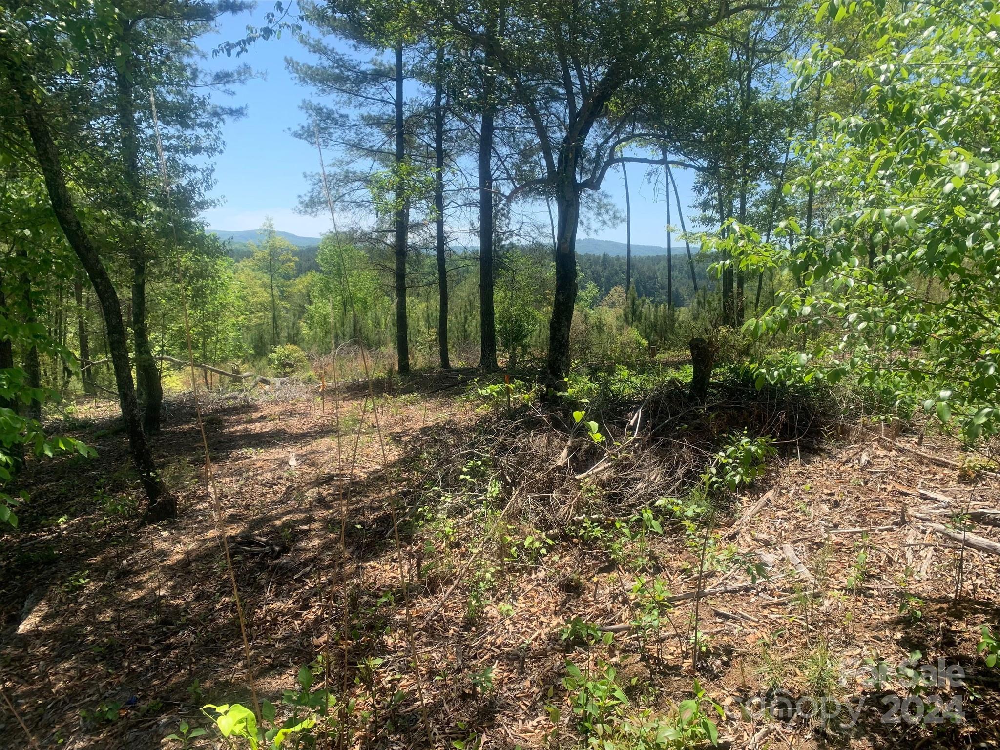 The Waterfront Club - Land