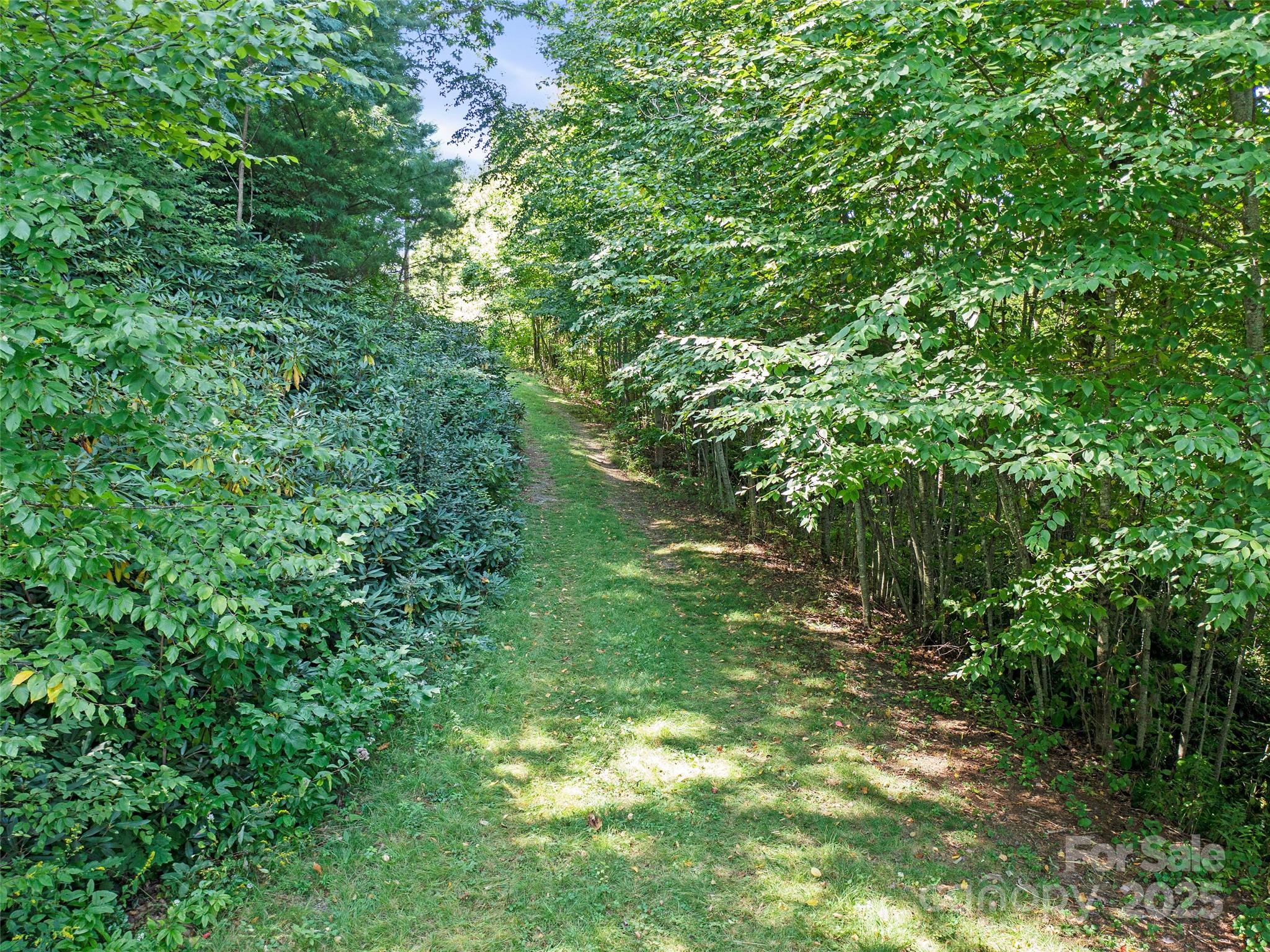 4.8 Acres Mountain Lily Ridge Drive