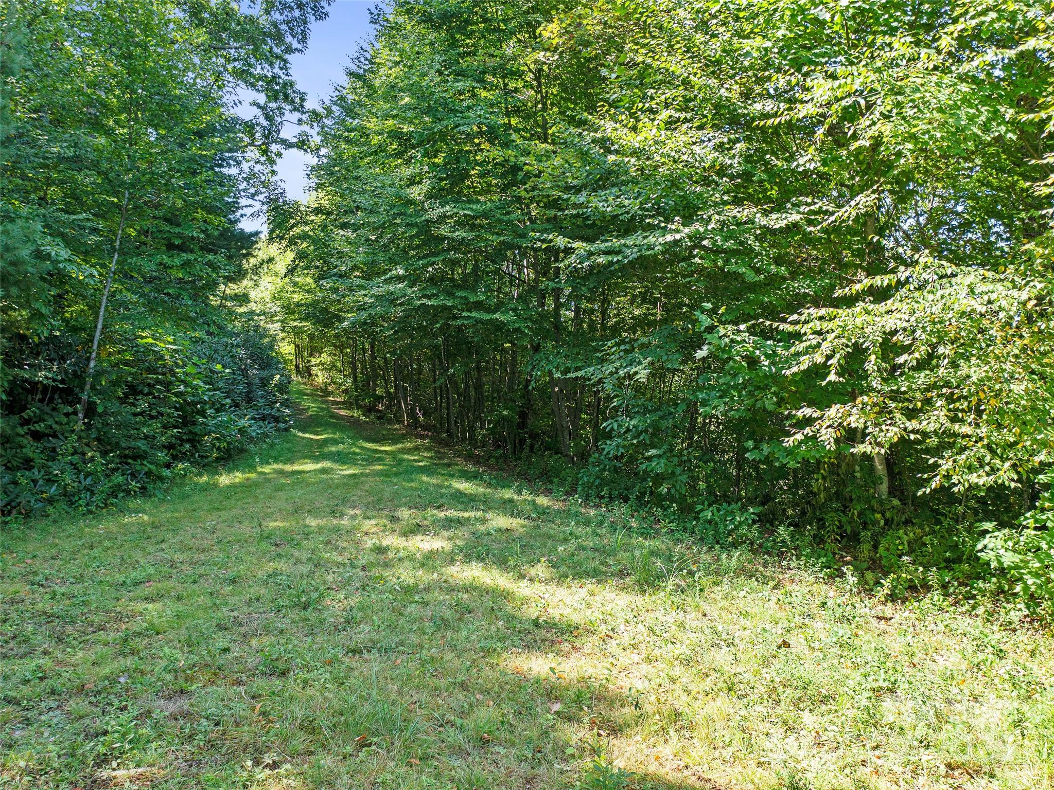 4.8 Acres Mountain Lily Ridge Drive