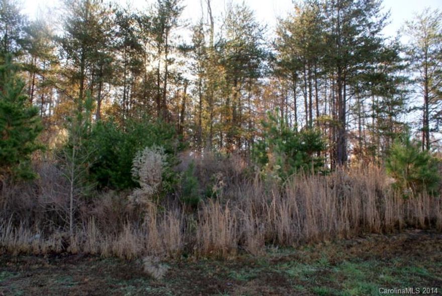 Large wooded residential lot in beautifully landscaped estate neighborhood of Montreux.  
Moments to The Palisades Country Club with Jack Nicklaus golf course, elegant dining clubhouse, Tim Wilkison Swim & Tennis Sports Complex!  5 minutes to Rivergate shopping & dining as well as numerous medical facilities.