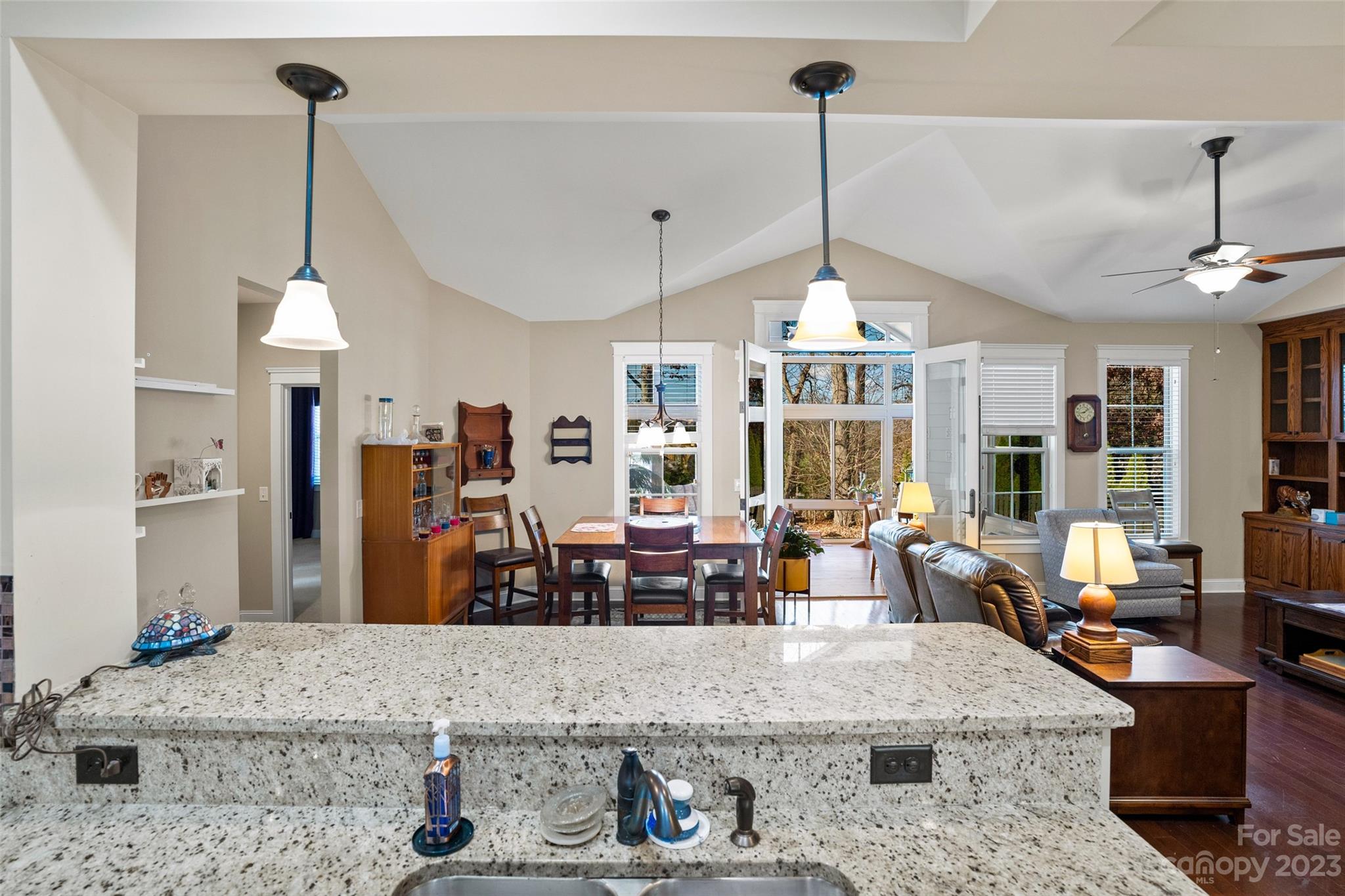 Biltmore Lake - Residential