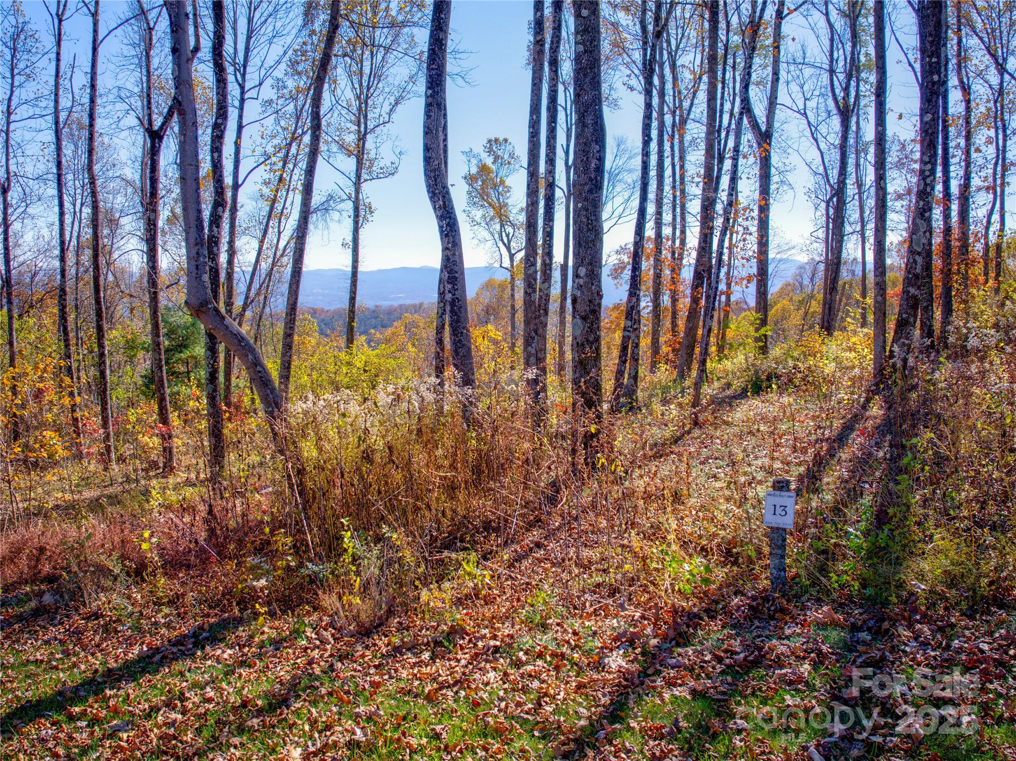 Couch Mountain - Land