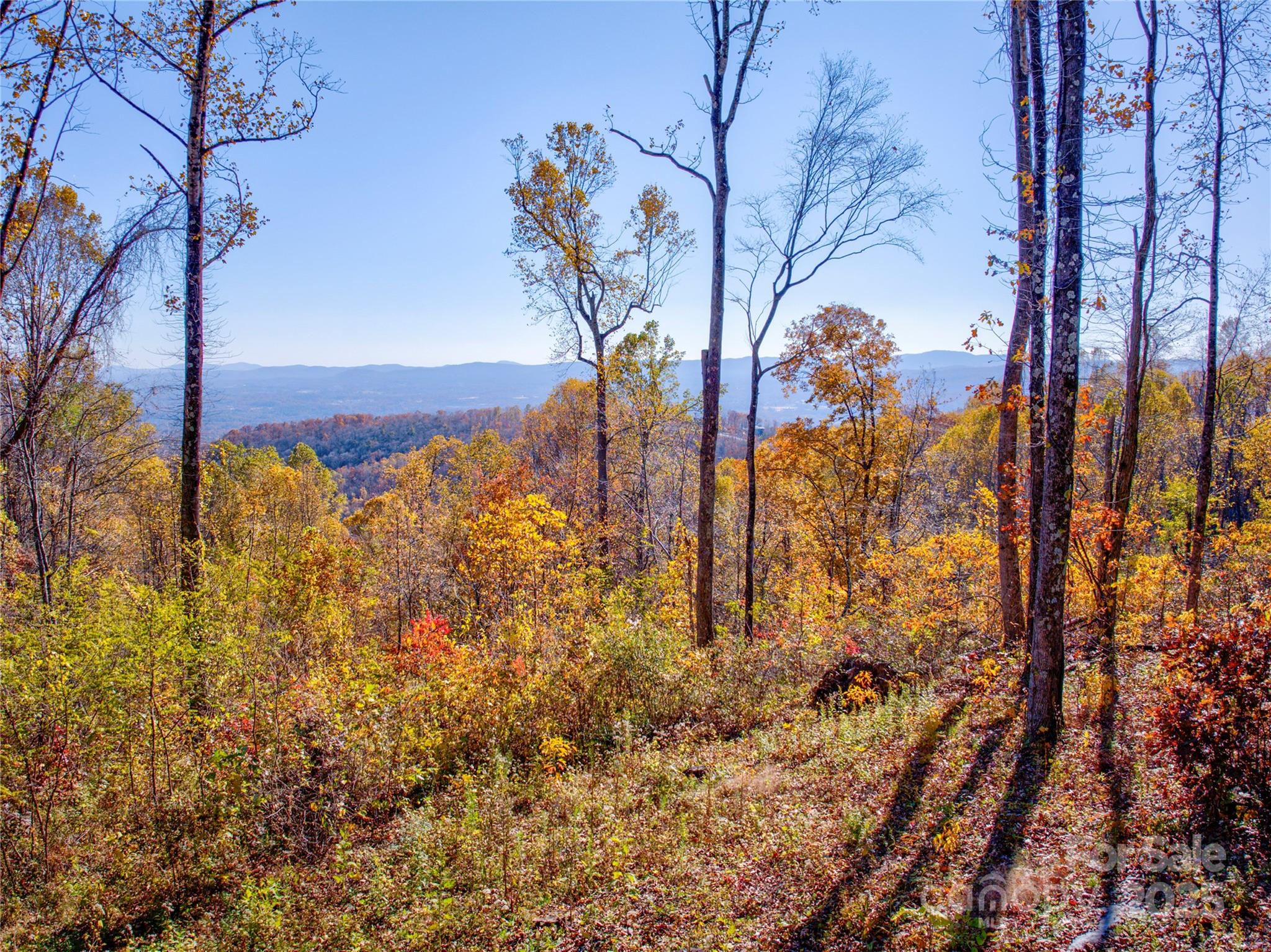 Couch Mountain - Land