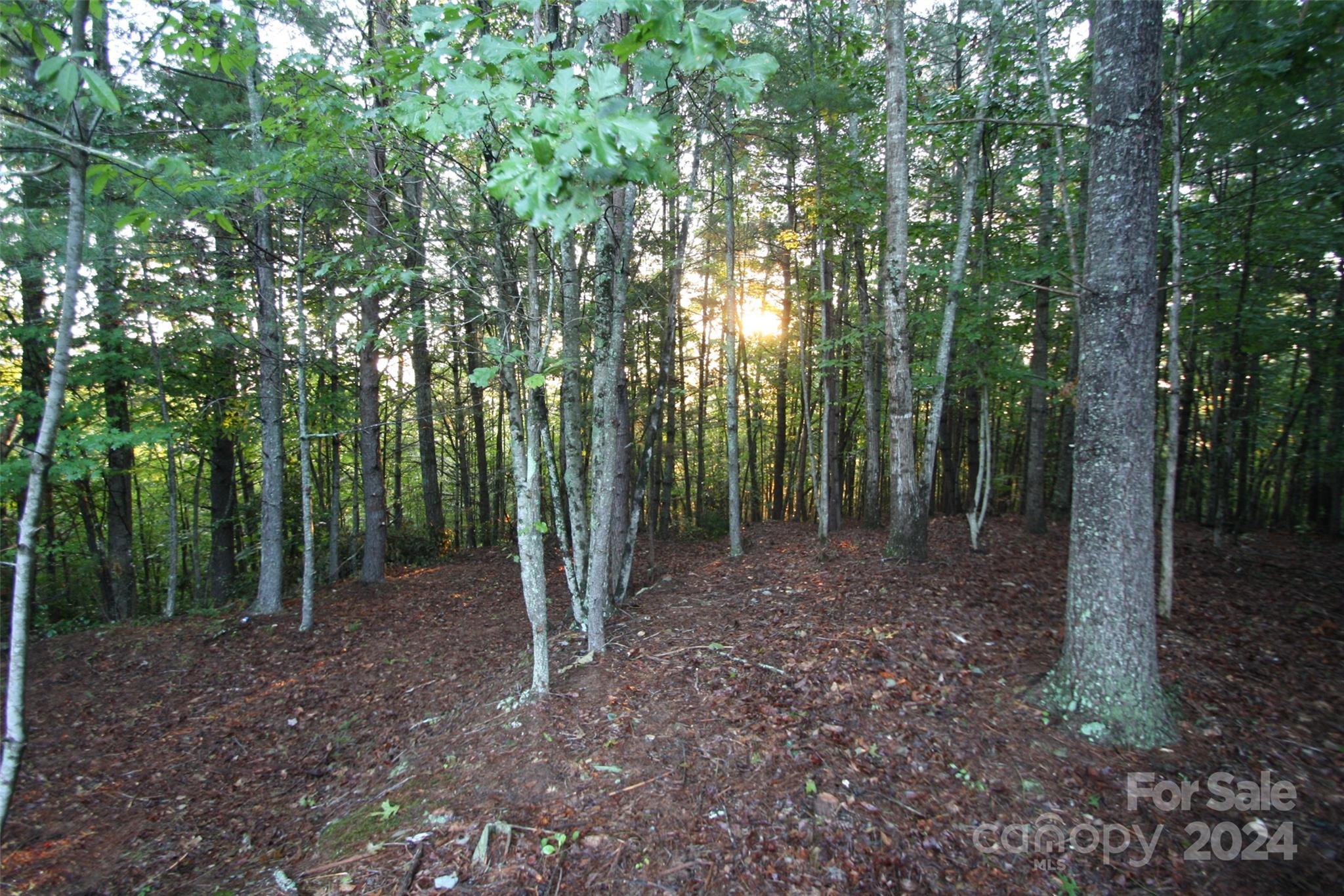 TBD Poplar Bluff Drive 36