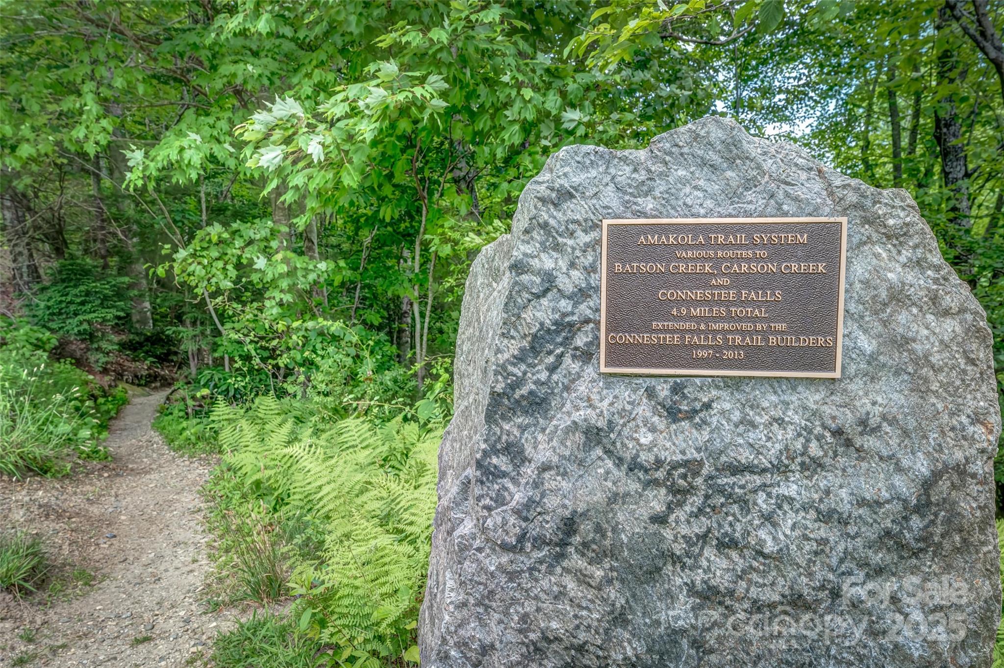 Connestee Falls - Land