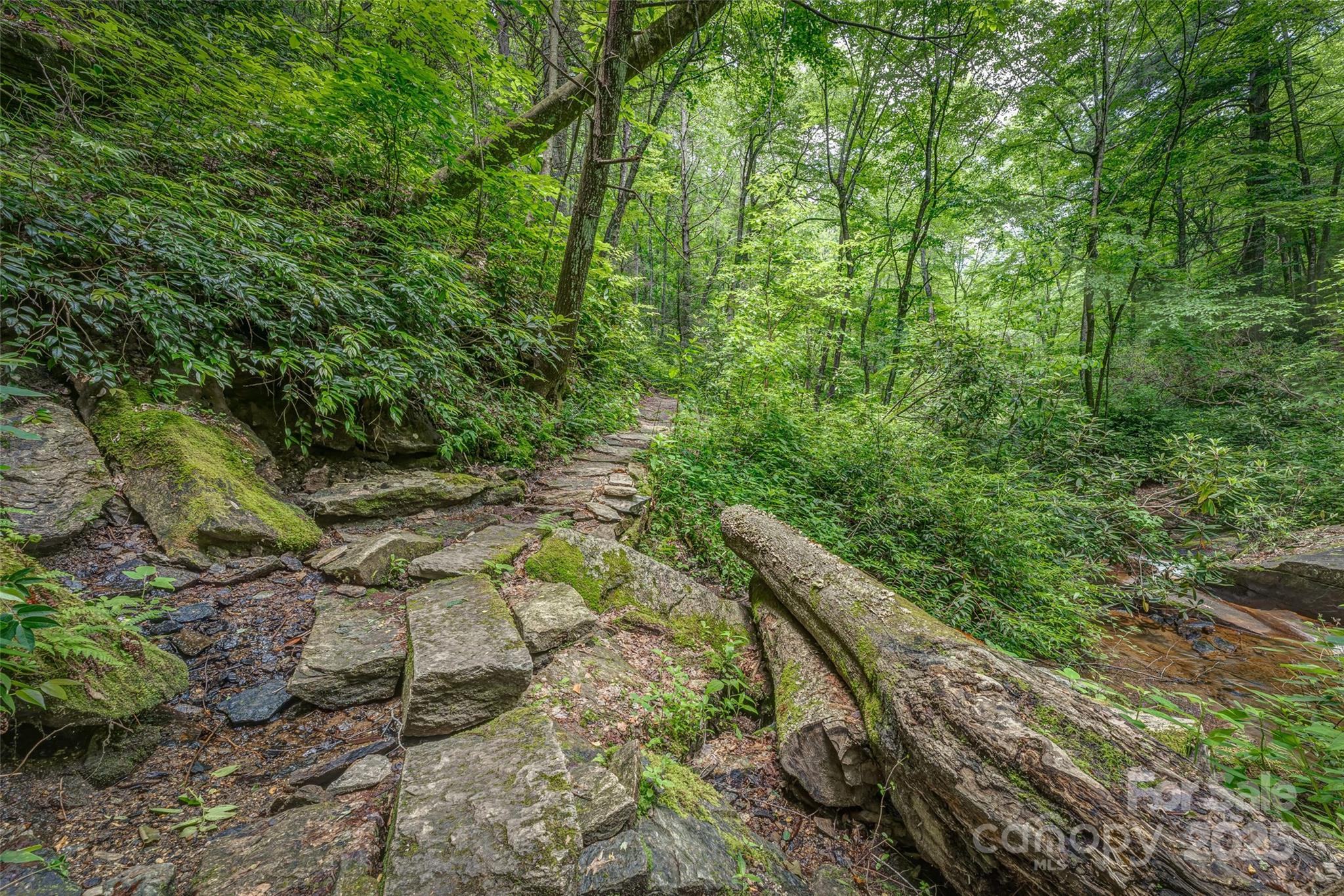 Connestee Falls - Land