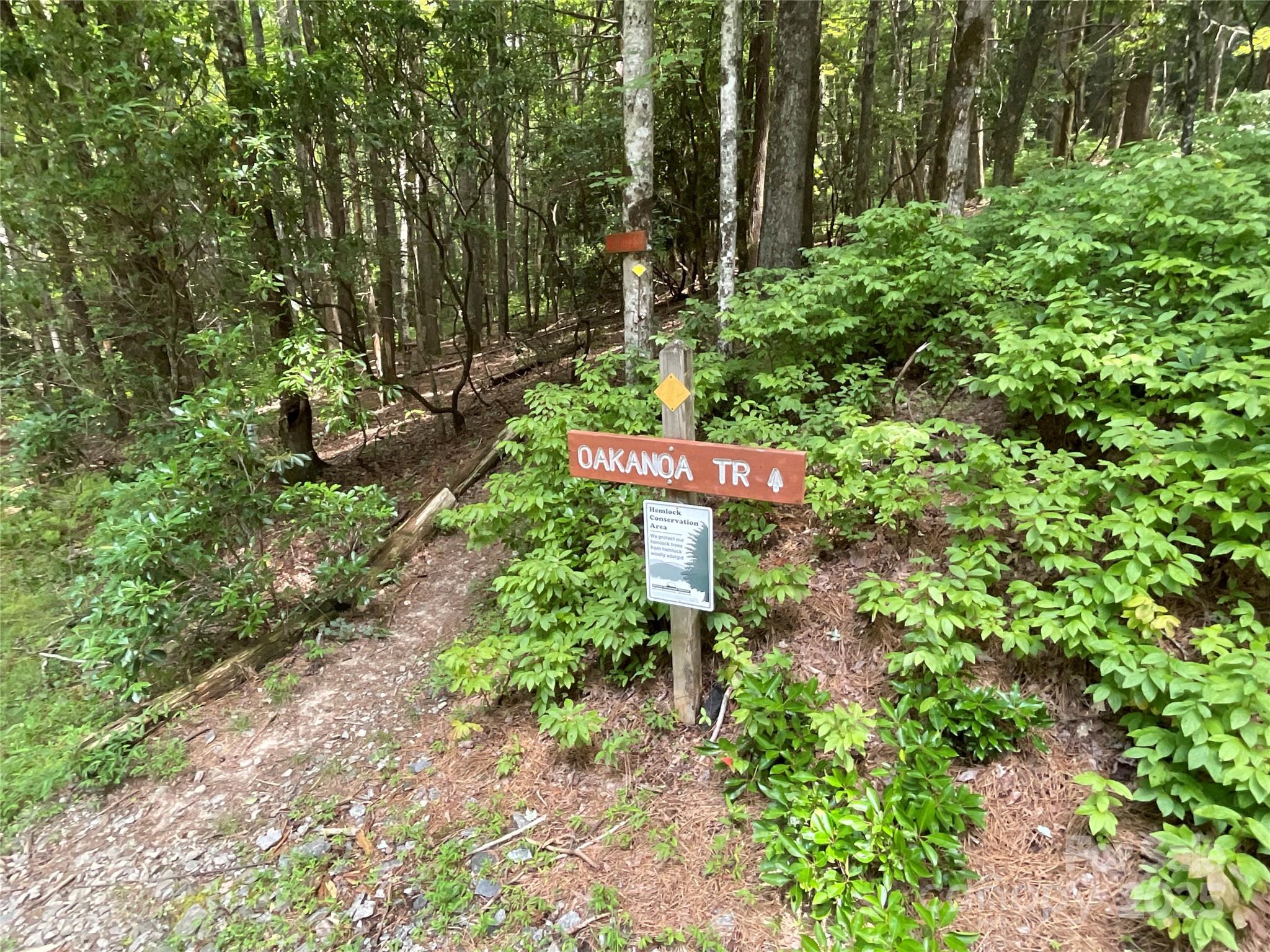 Connestee Falls - Land