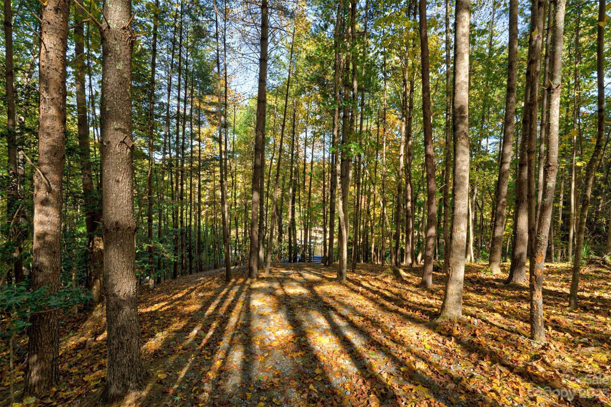 Dry Creek - Residential