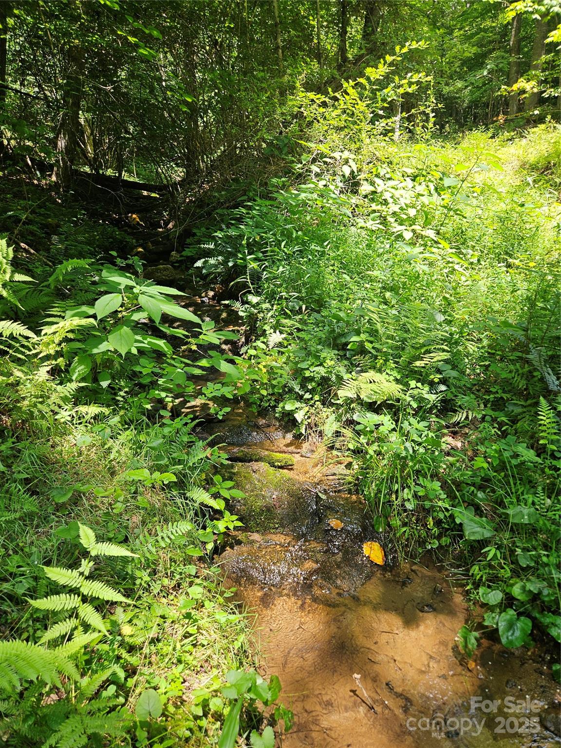 000 Bald Mountain Road