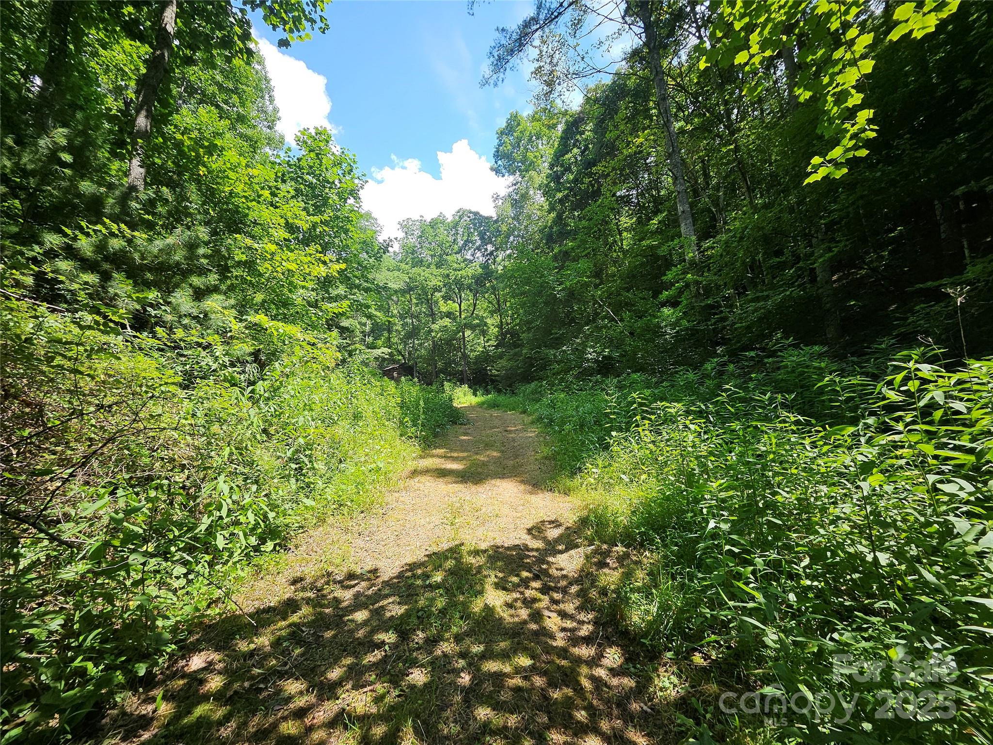000 Bald Mountain Road