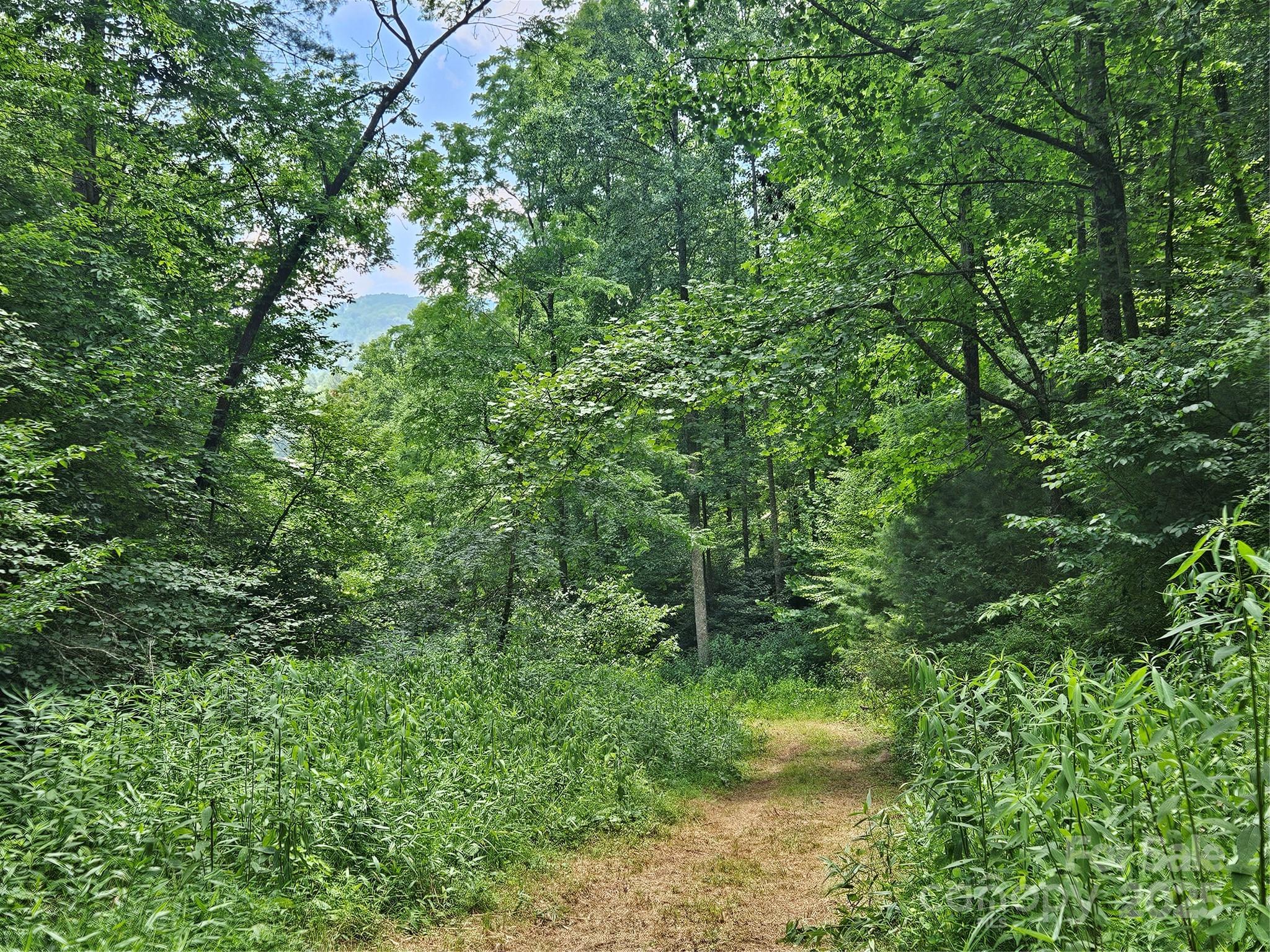 000 Bald Mountain Road