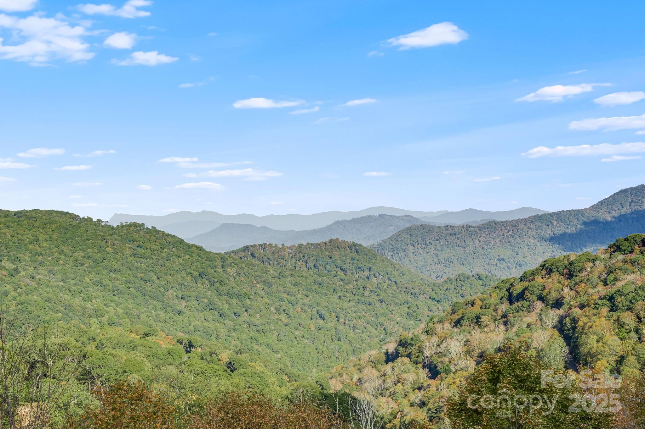 Wolf Laurel - Residential