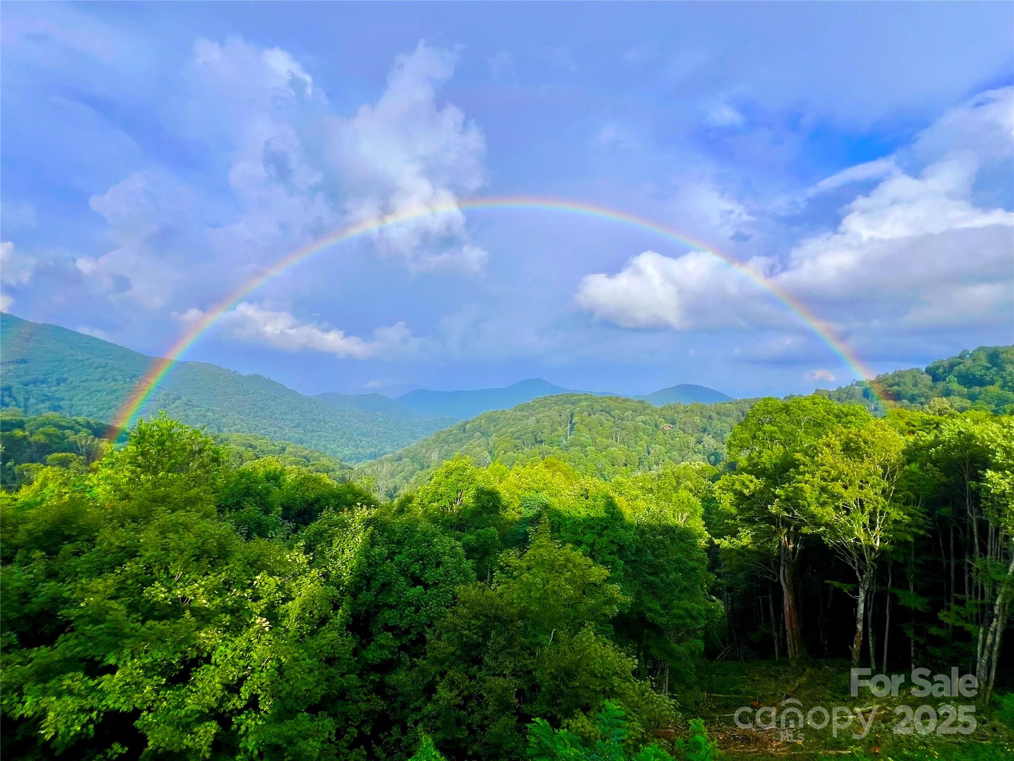 Wolf Laurel - Residential