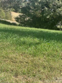 Lot 232 Canterbury Drive 232 North Wilkesboro NC 28659