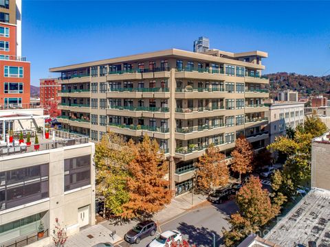 21 Battery Park Avenue 607 Asheville NC 28801