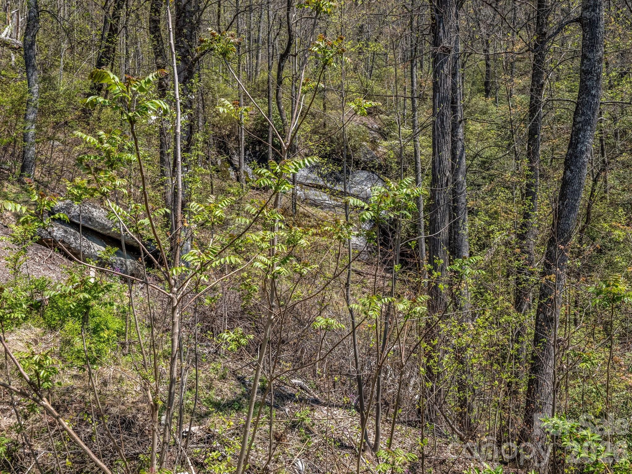 Gateway Mountain - Residential
