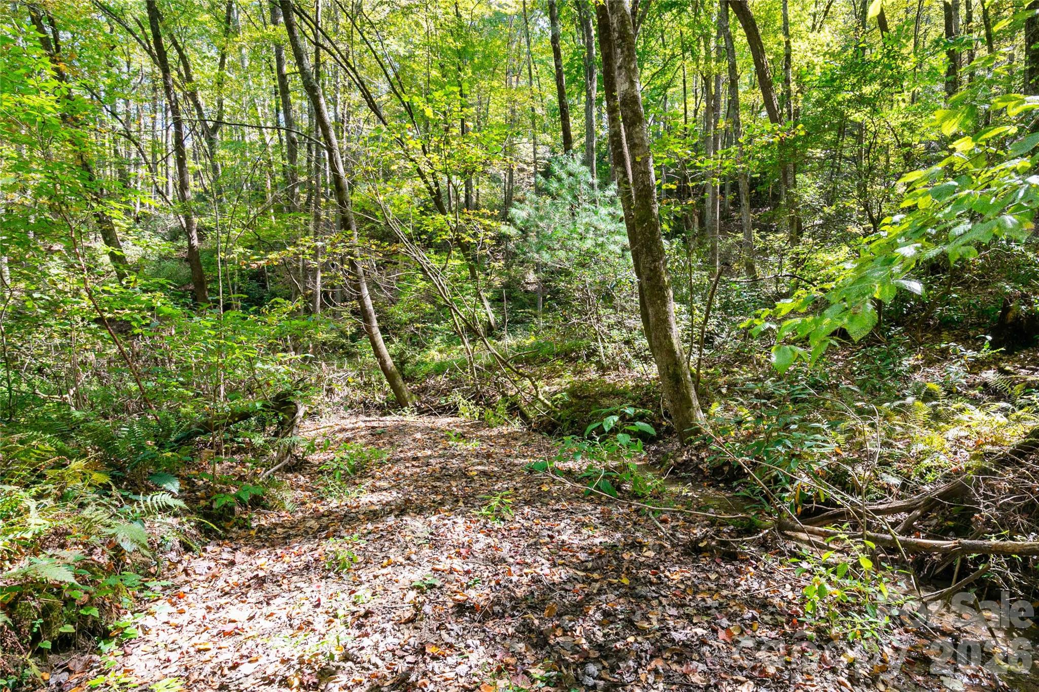 Bear Track II - Land