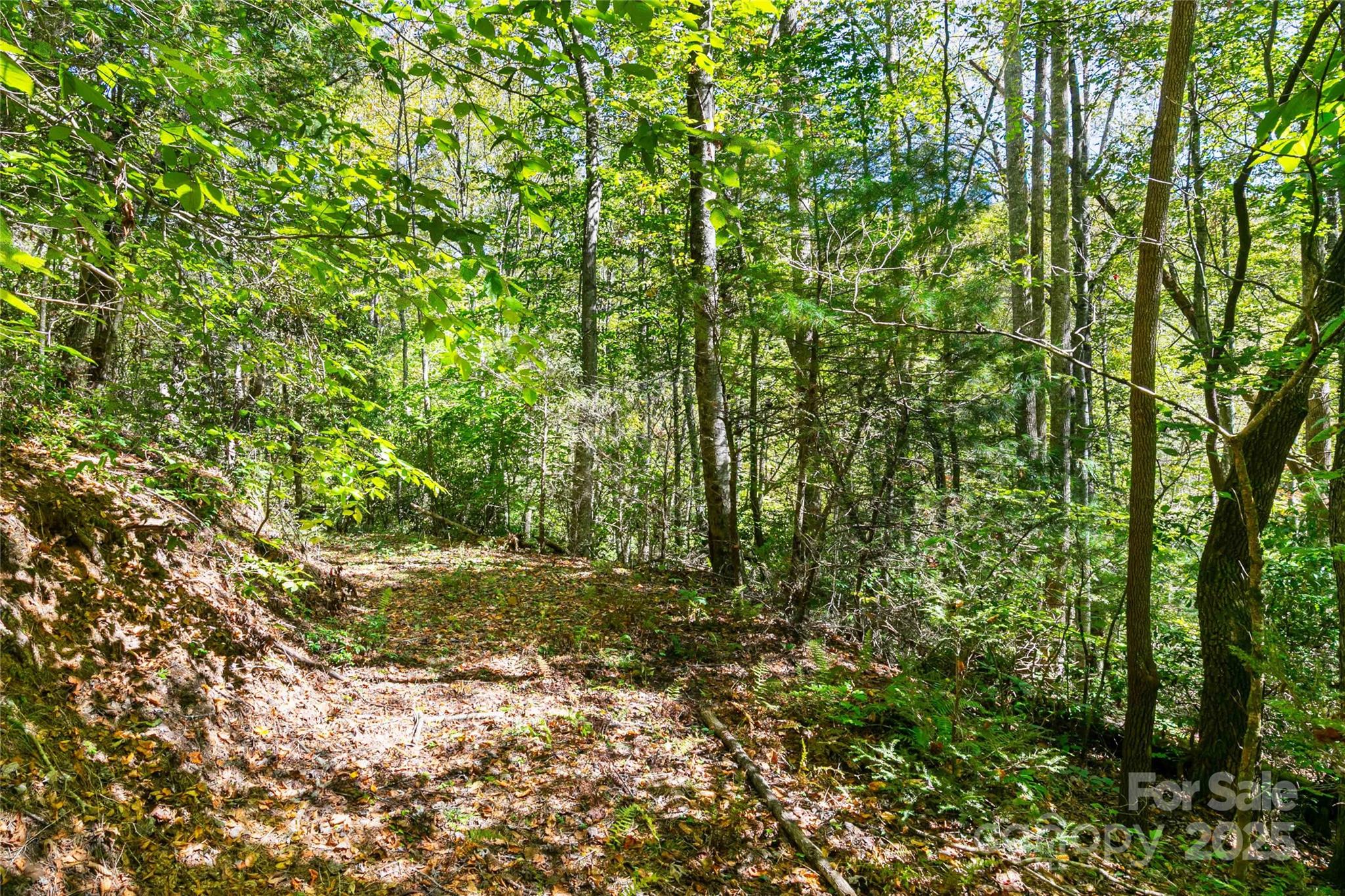 Bear Track II - Land