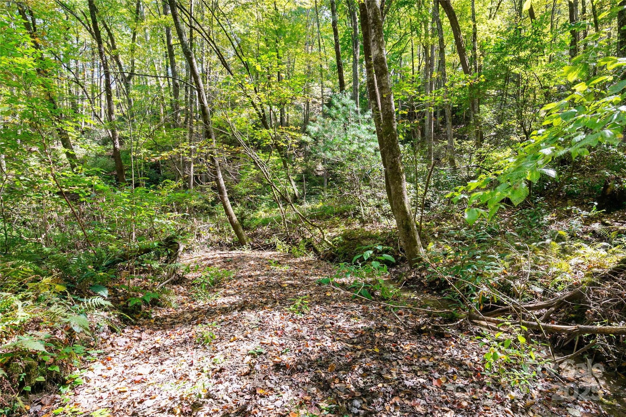 Bear Track II - Land