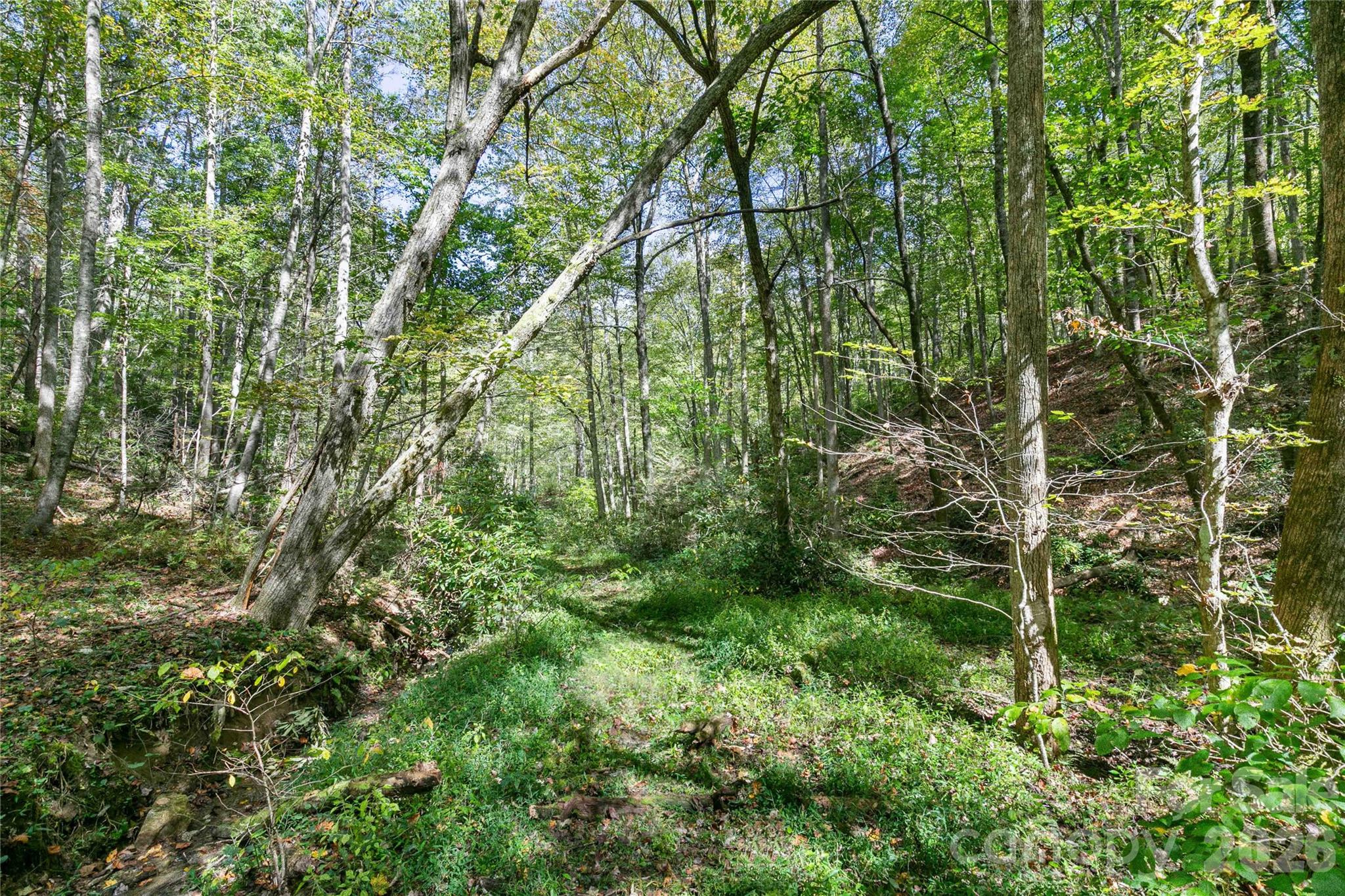 Bear Track II - Land