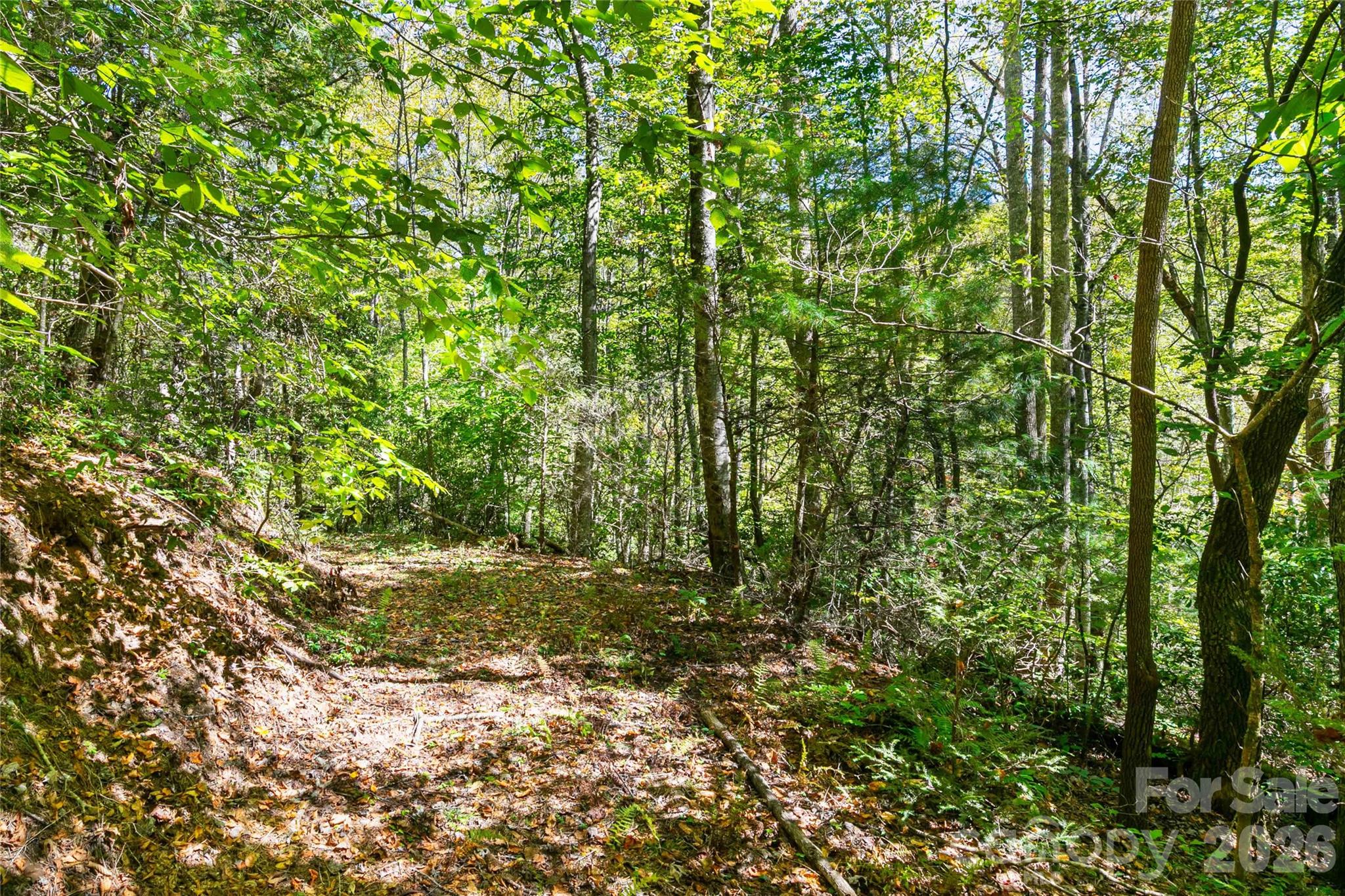 Bear Track II - Land