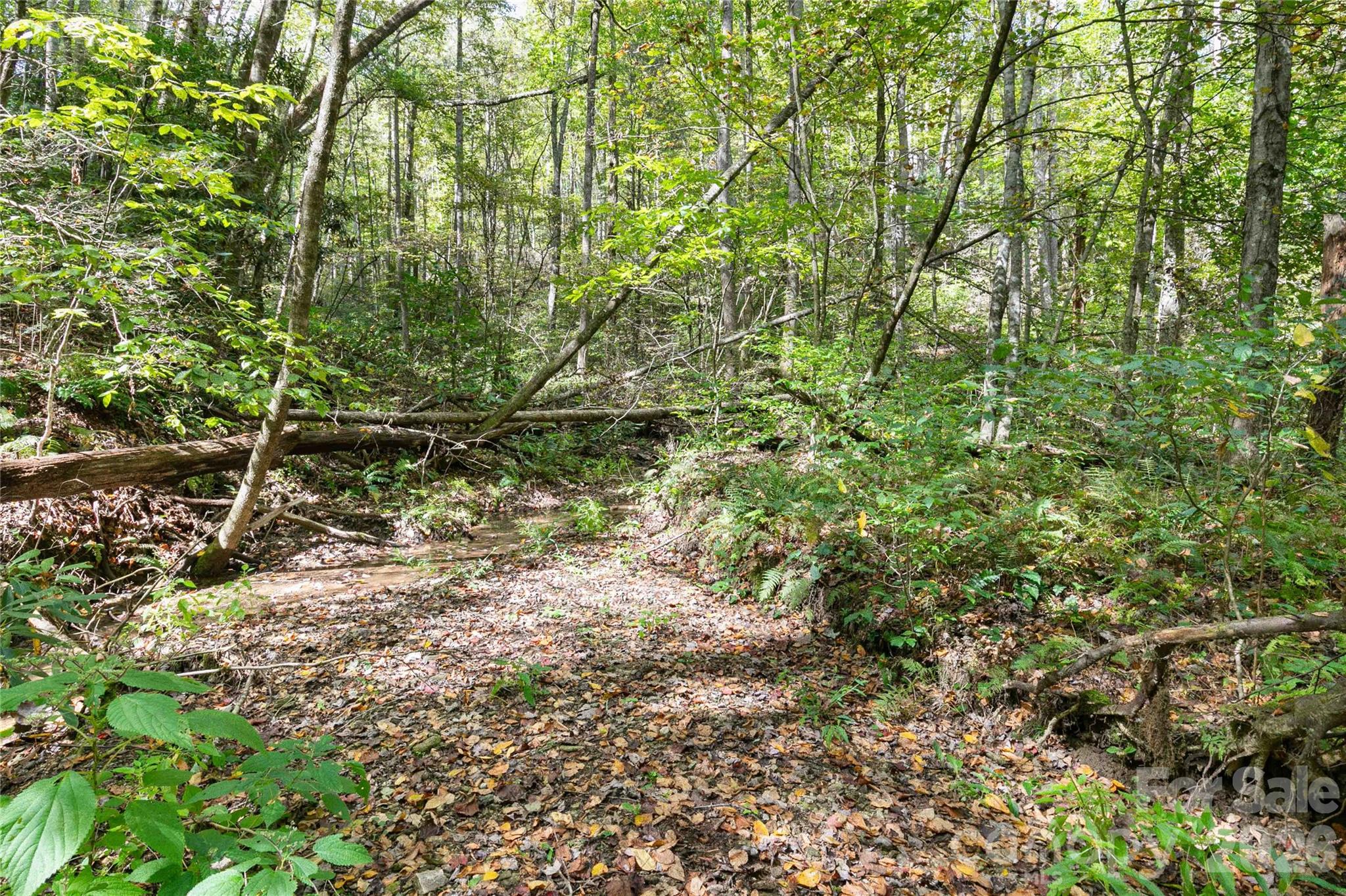 Bear Track II - Land