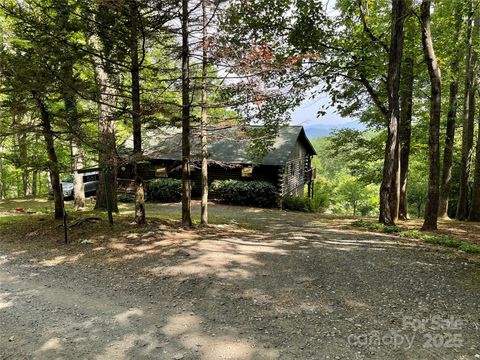 551 Carvers Knob Road Little Switzerland NC 28749