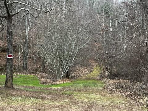 15 Silver Fir Road Weaverville NC 28787