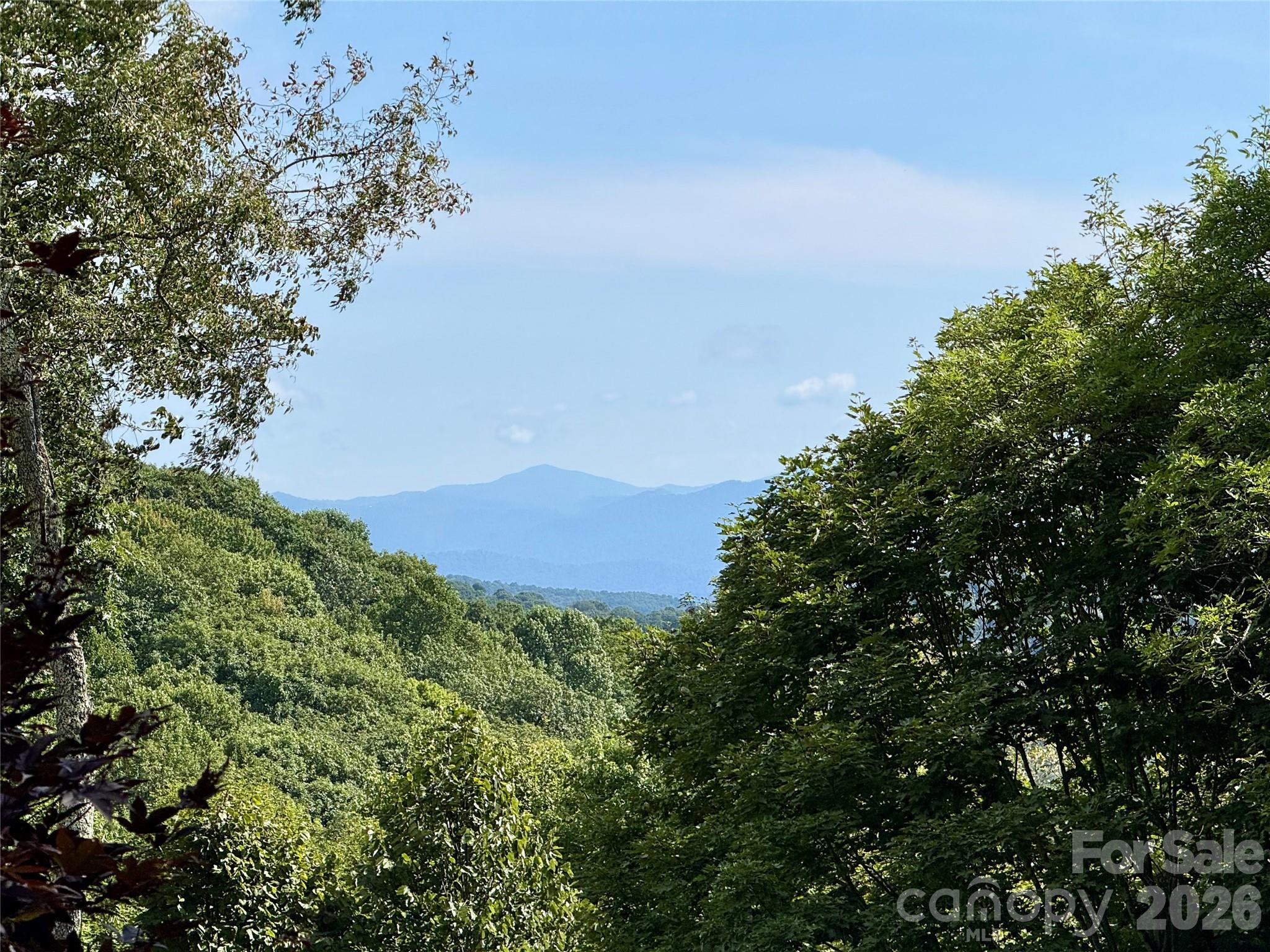 98 Goldenleaf Road