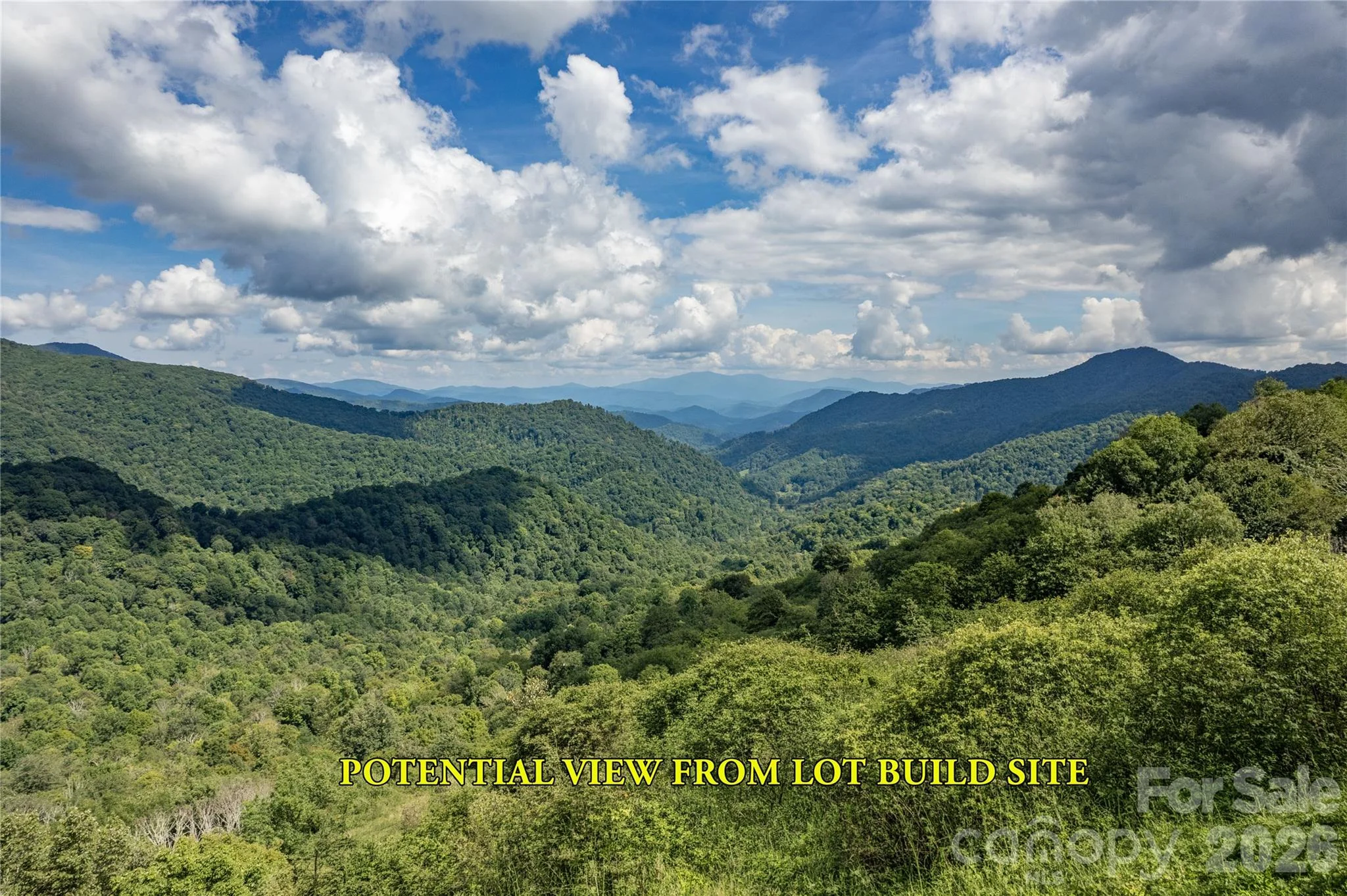 98 Goldenleaf Road, Mars Hill, NC, 28754