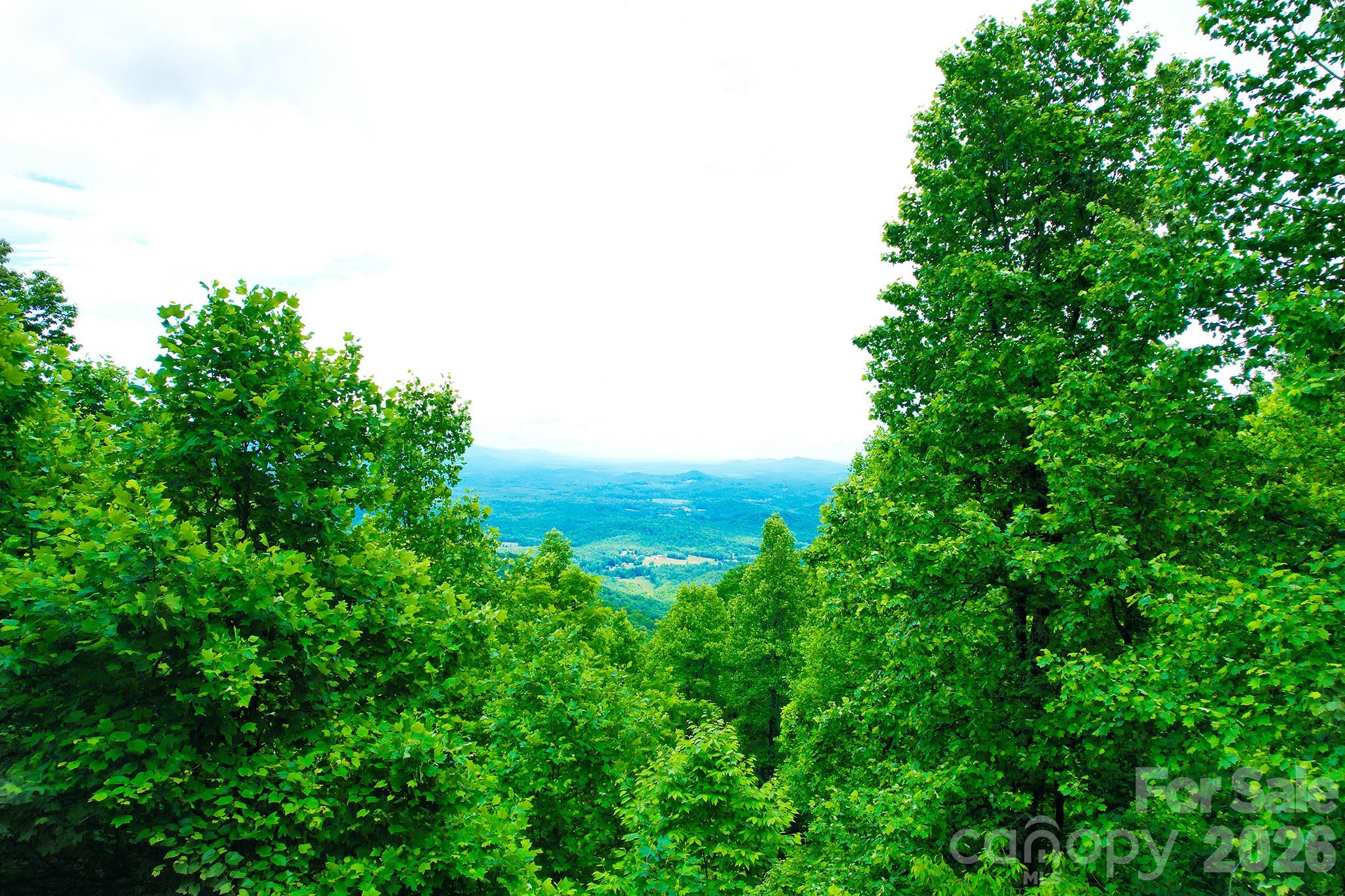 Laurel Mountain Preserve - Land